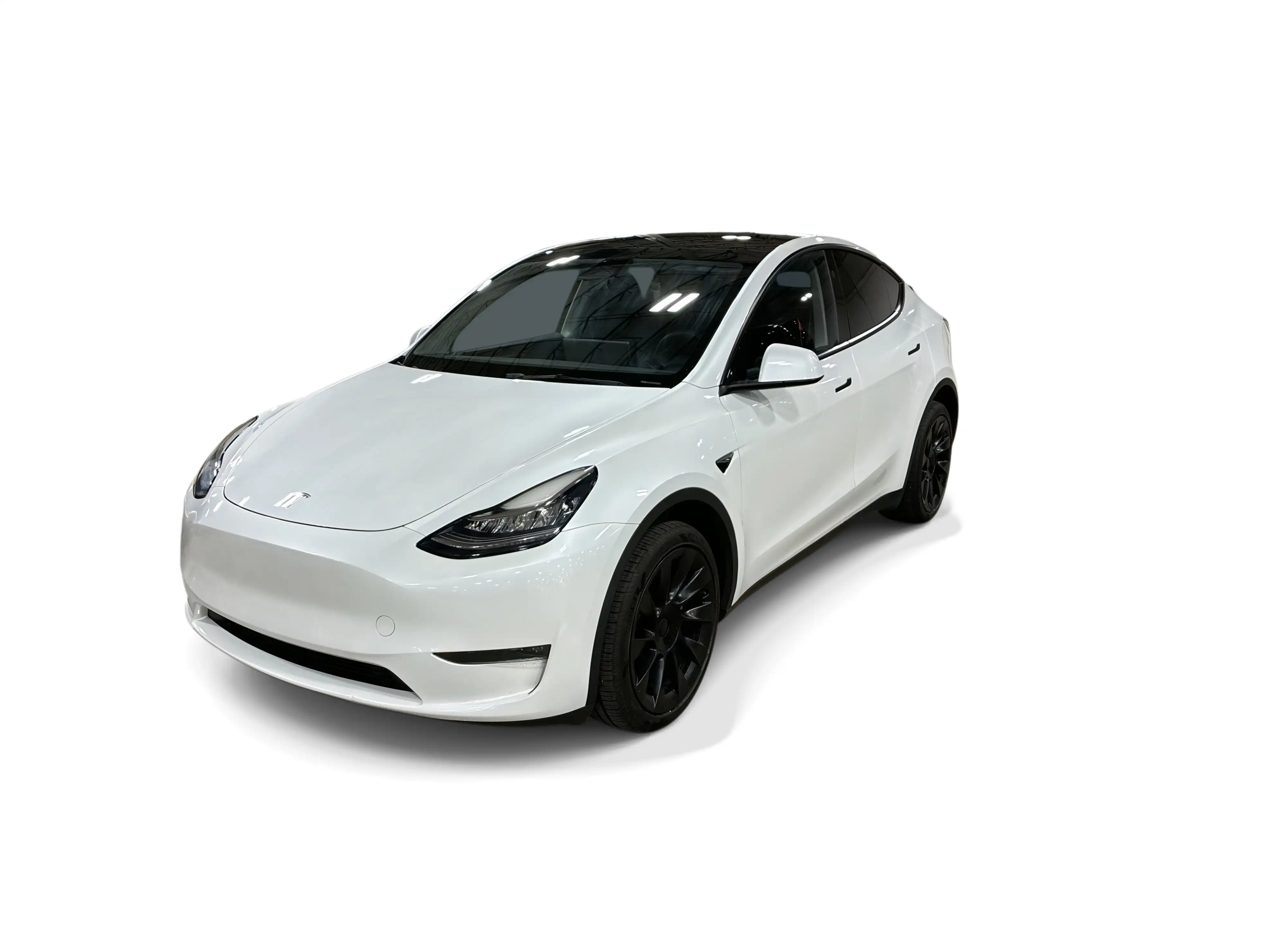 2023 Tesla Model Y Long Range Dual Motor All-Wheel Drive's photo