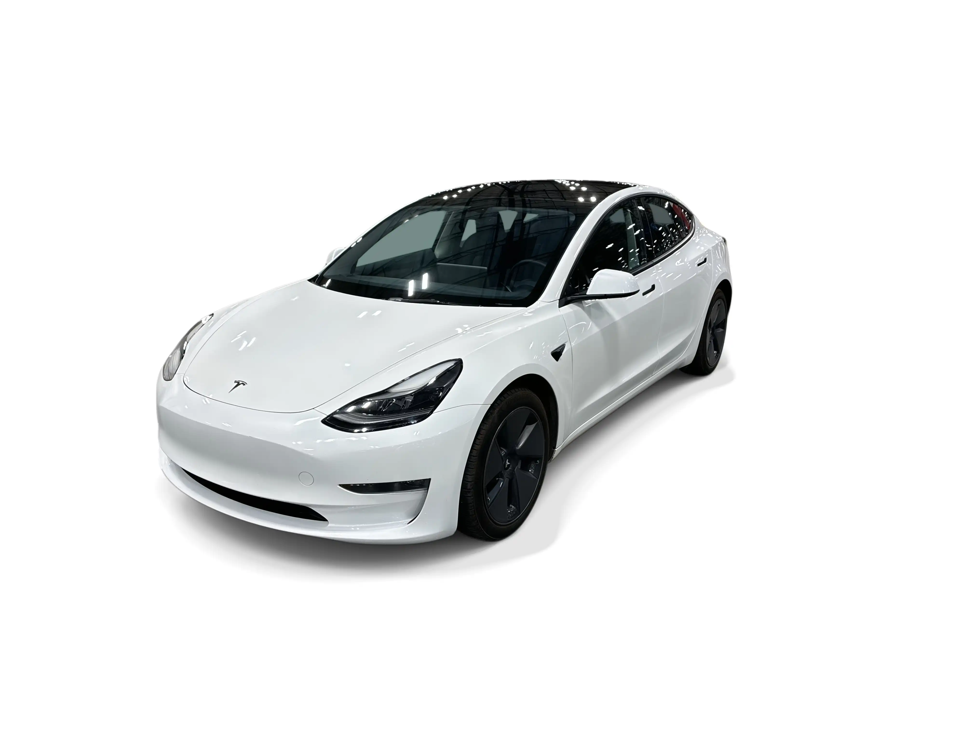 2023 Tesla Model 3 Base's photo