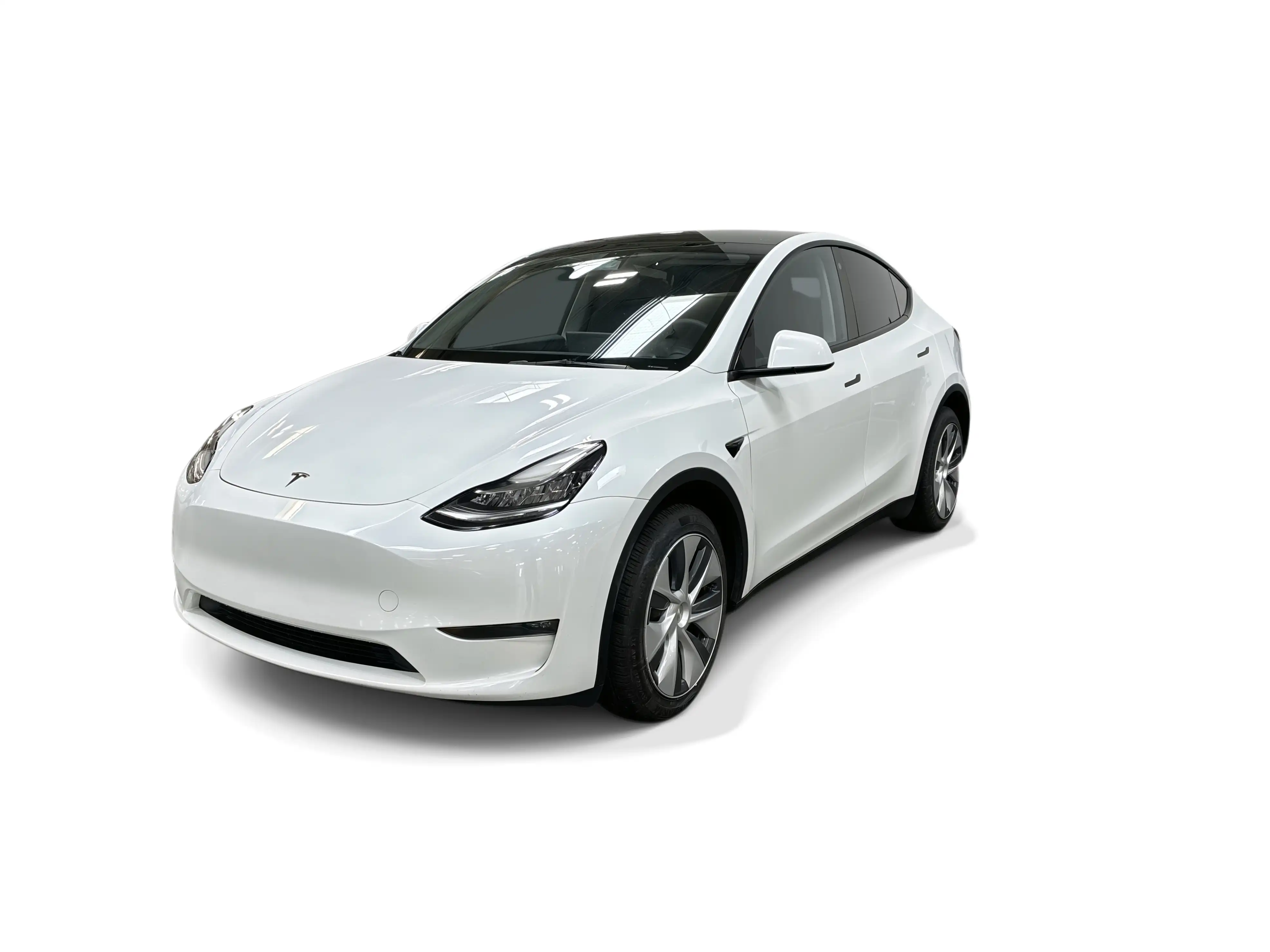 2023 Tesla Model Y Long Range Dual Motor All-Wheel Drive's photo