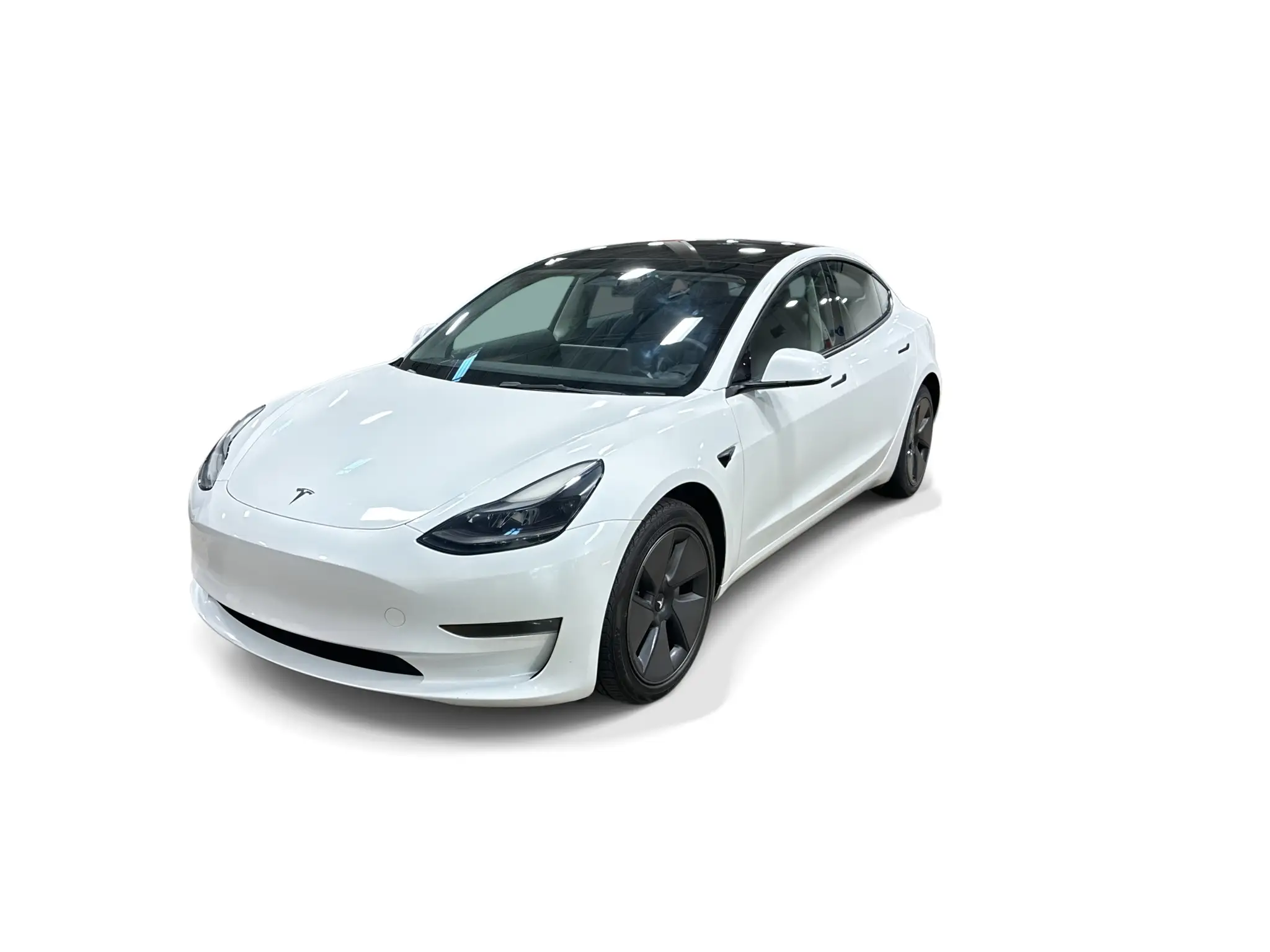 2023 Tesla Model 3 Base photo 1