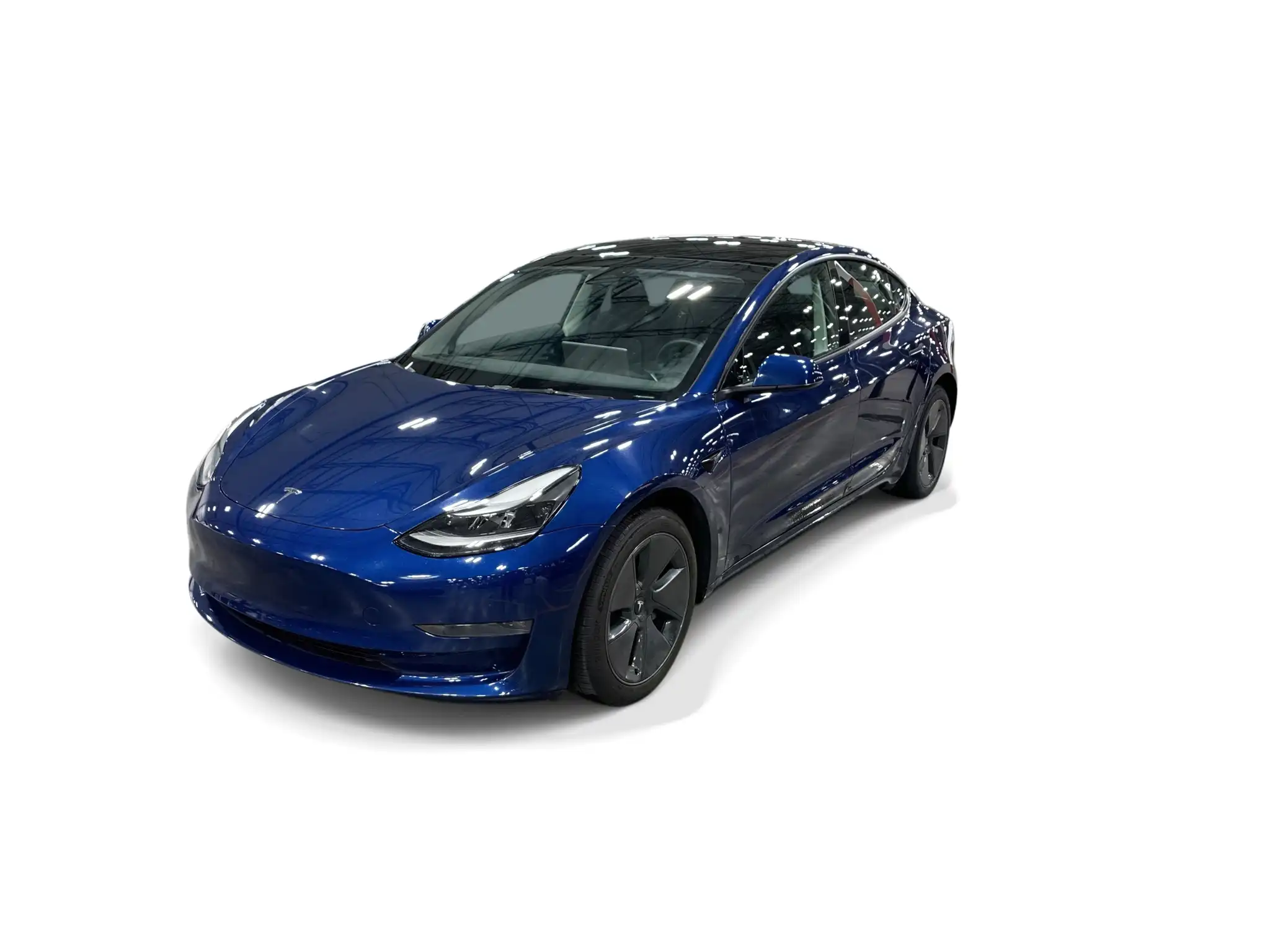2023 Tesla Model 3 Base's photo