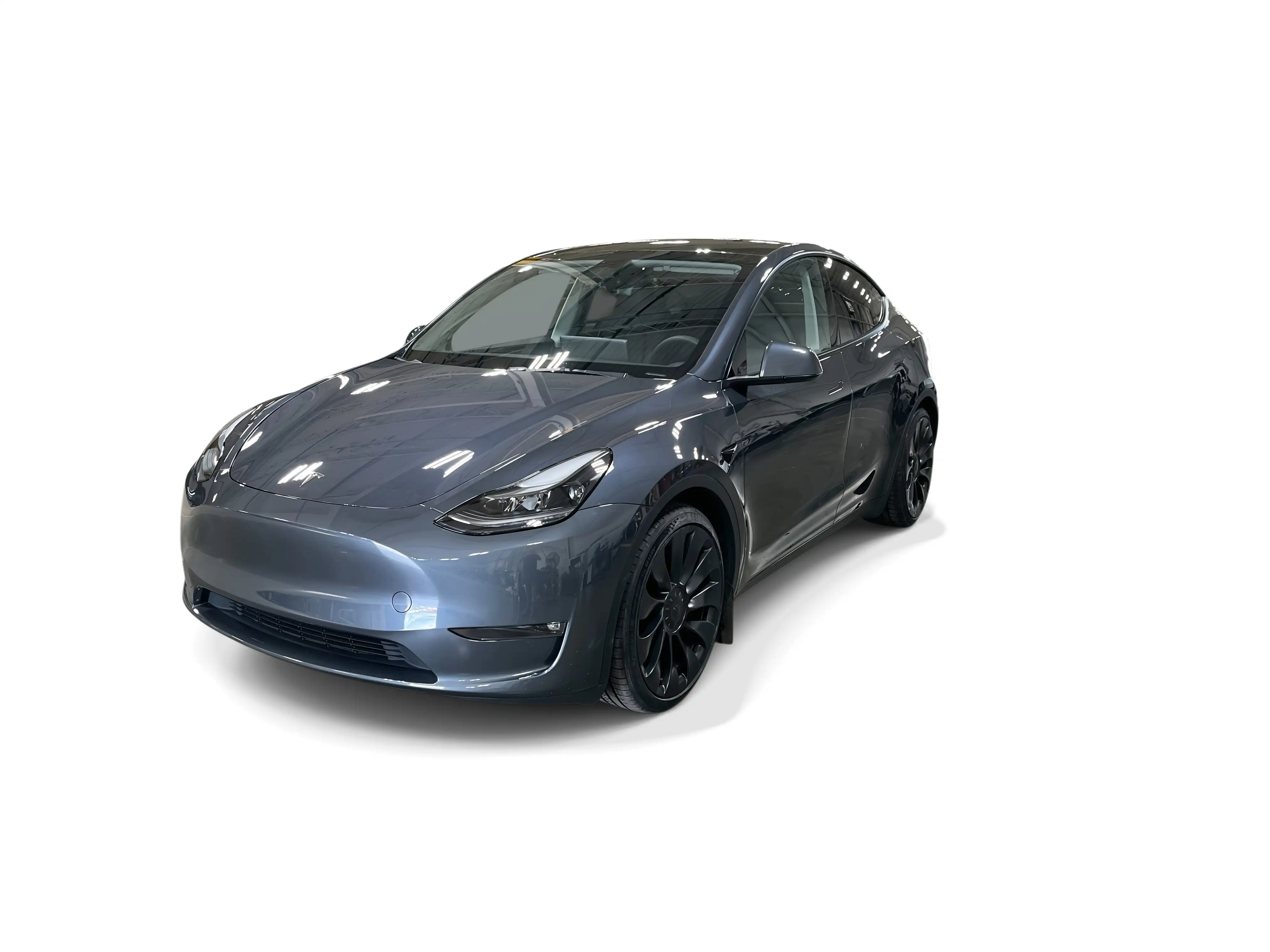 2023 Tesla Model Y Performance Dual Motor All-Wheel Drive's photo