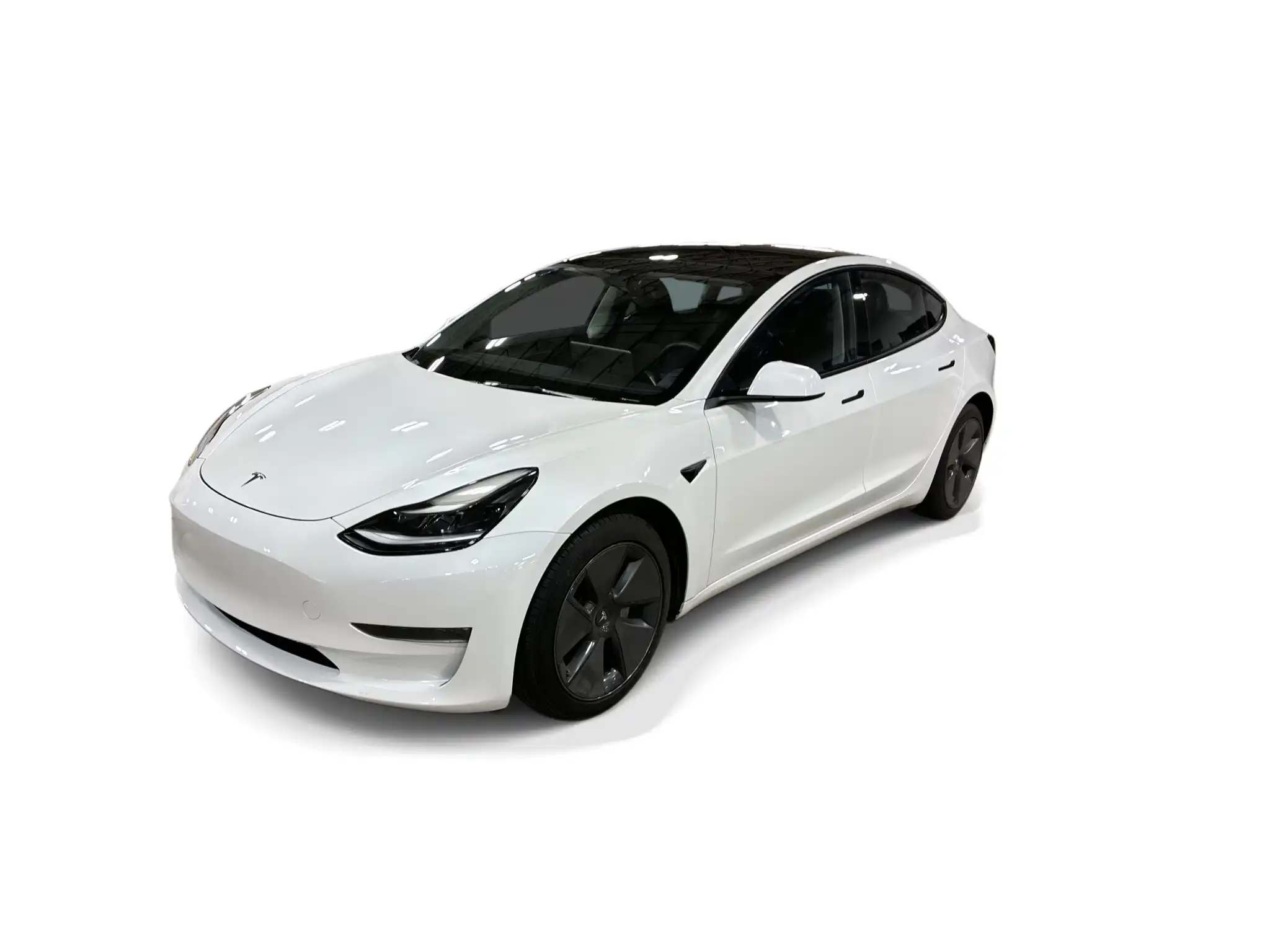 2023 Tesla Model 3 Base's photo