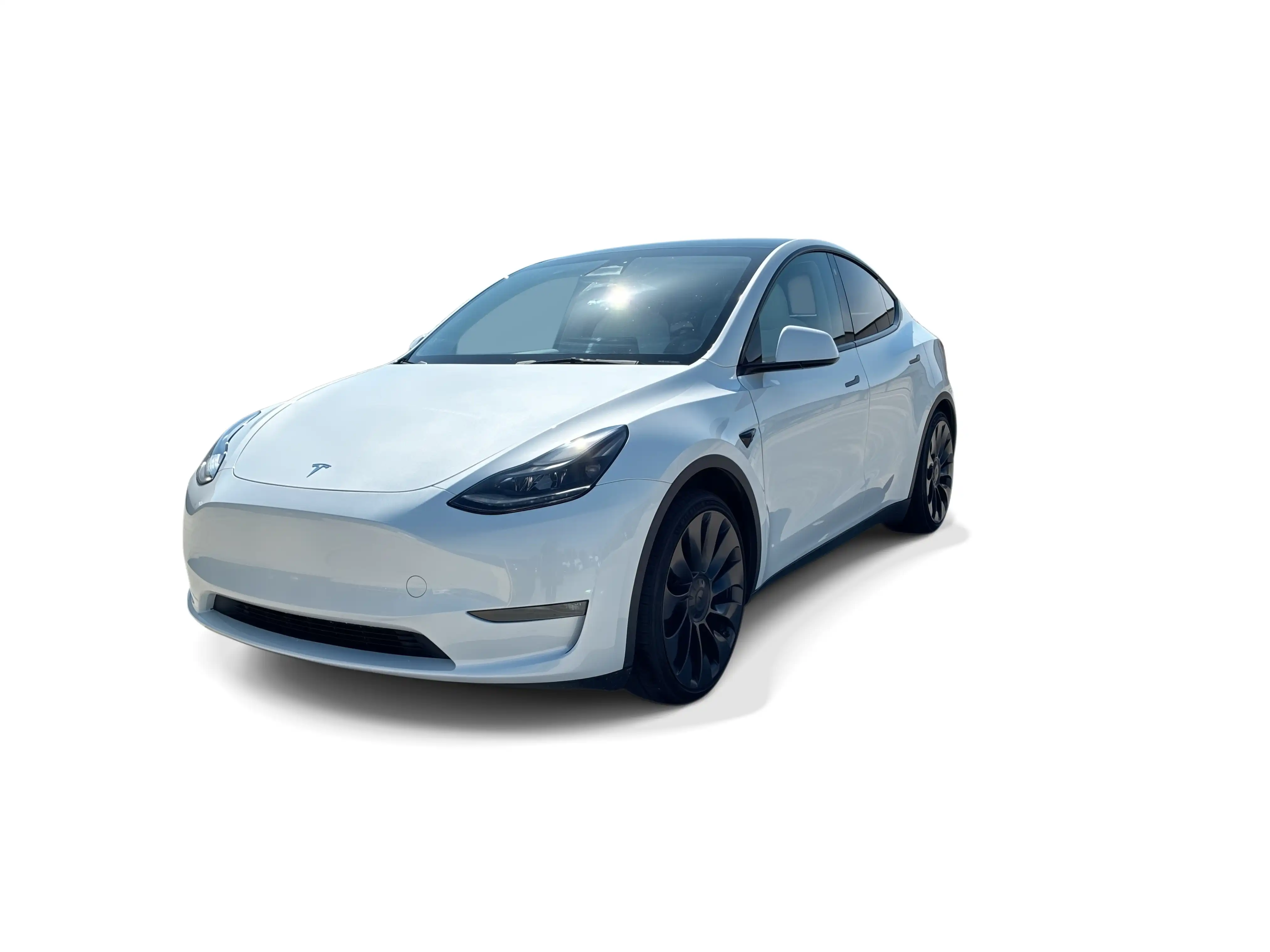 2023 Tesla Model Y Performance Dual Motor All-Wheel Drive's photo