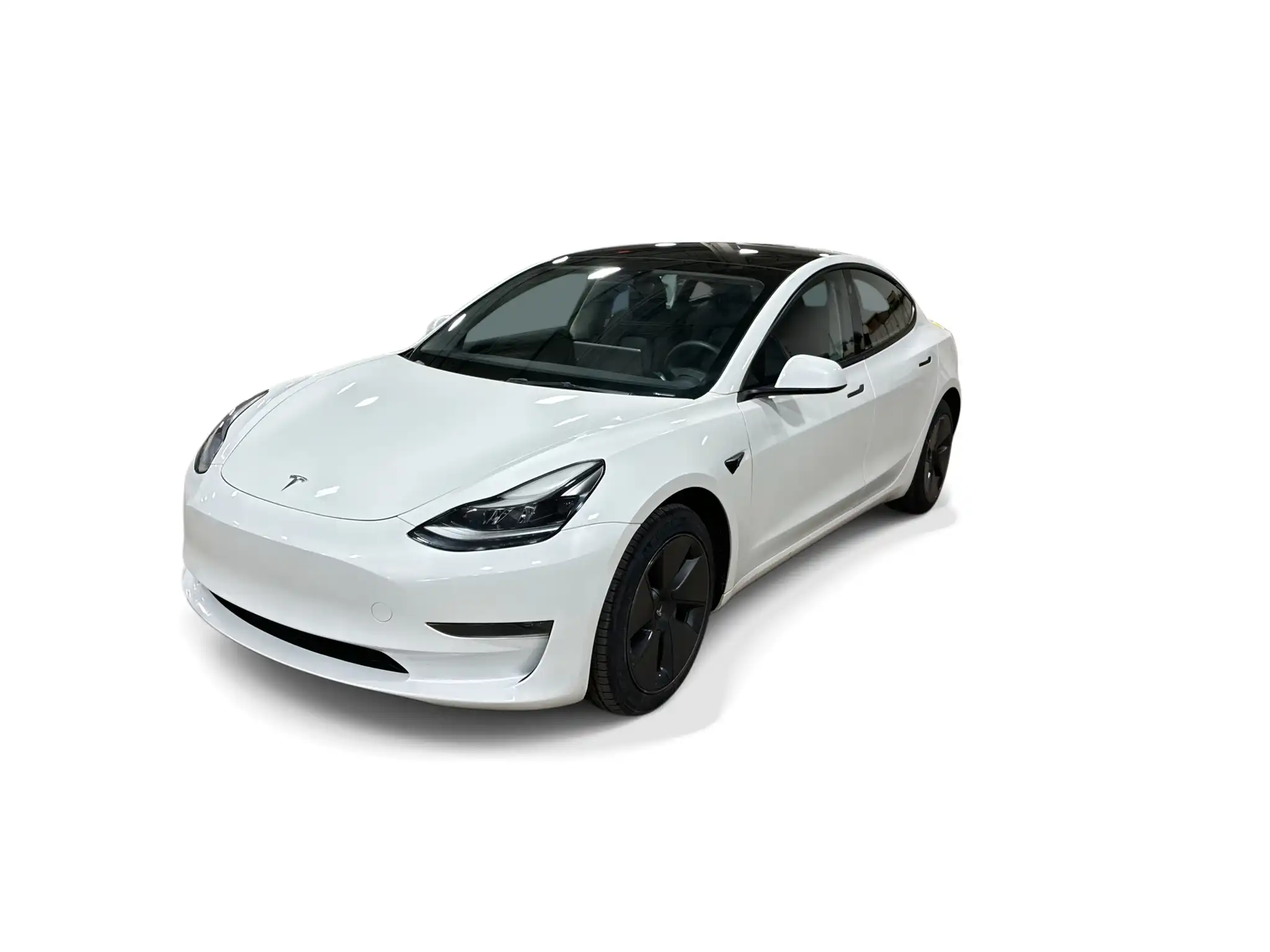 2023 Tesla Model 3 Base's photo