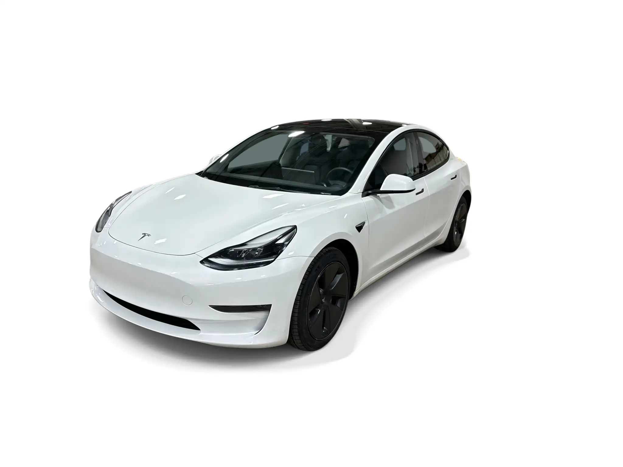 2023 Tesla Model 3 Base's photo