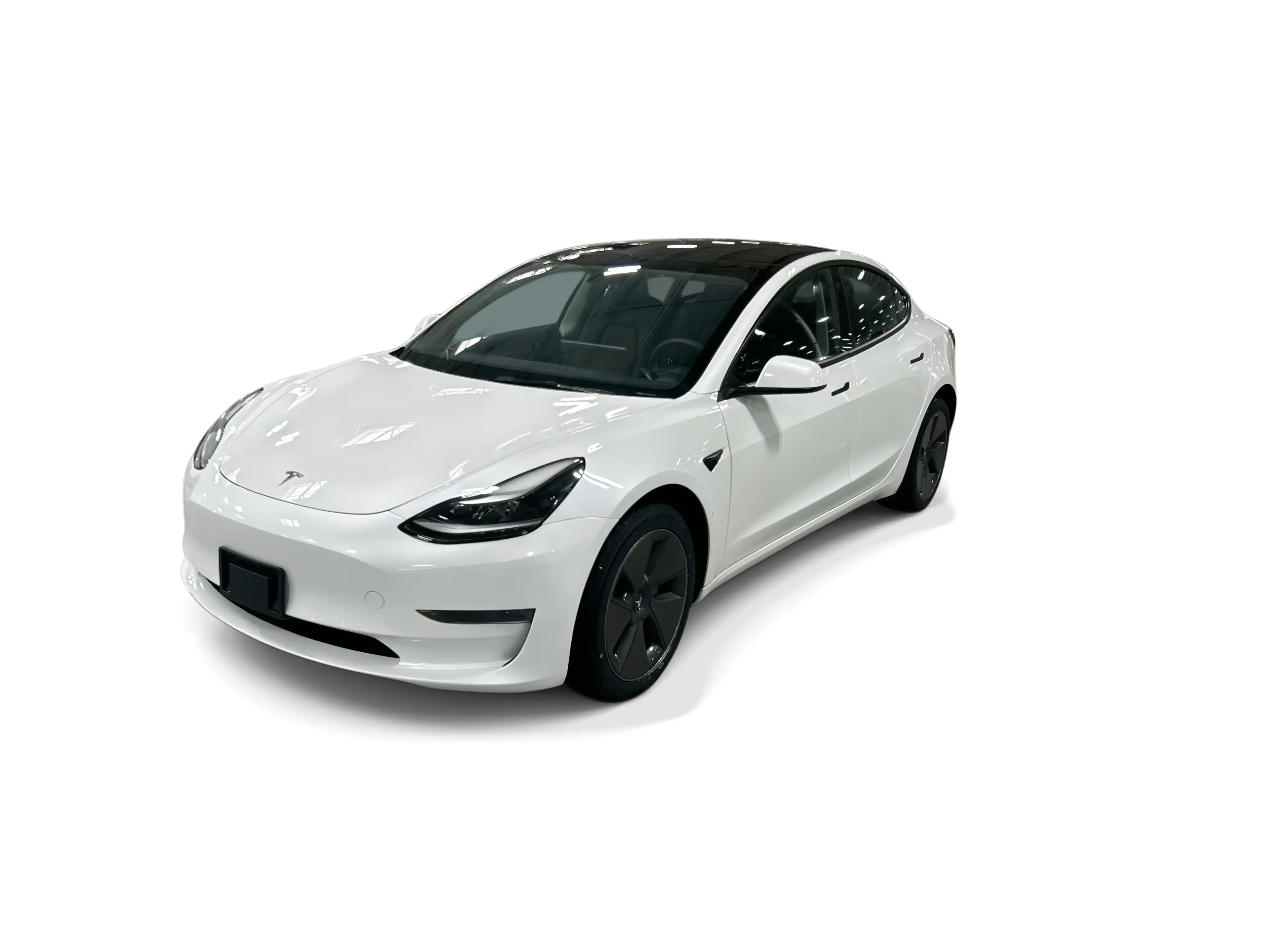 2023 Tesla Model 3 Base's photo