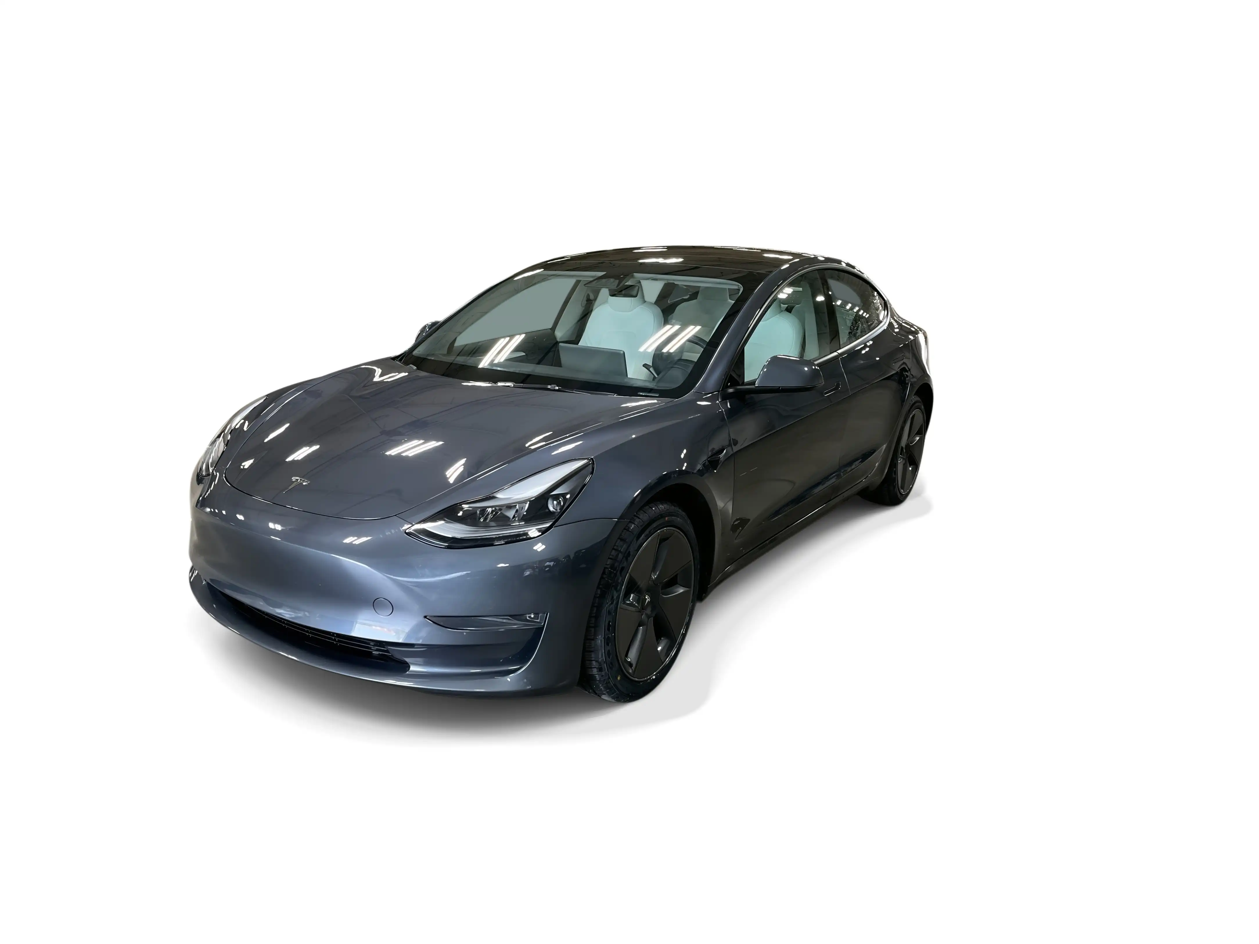 2023 Tesla Model 3 Base's photo