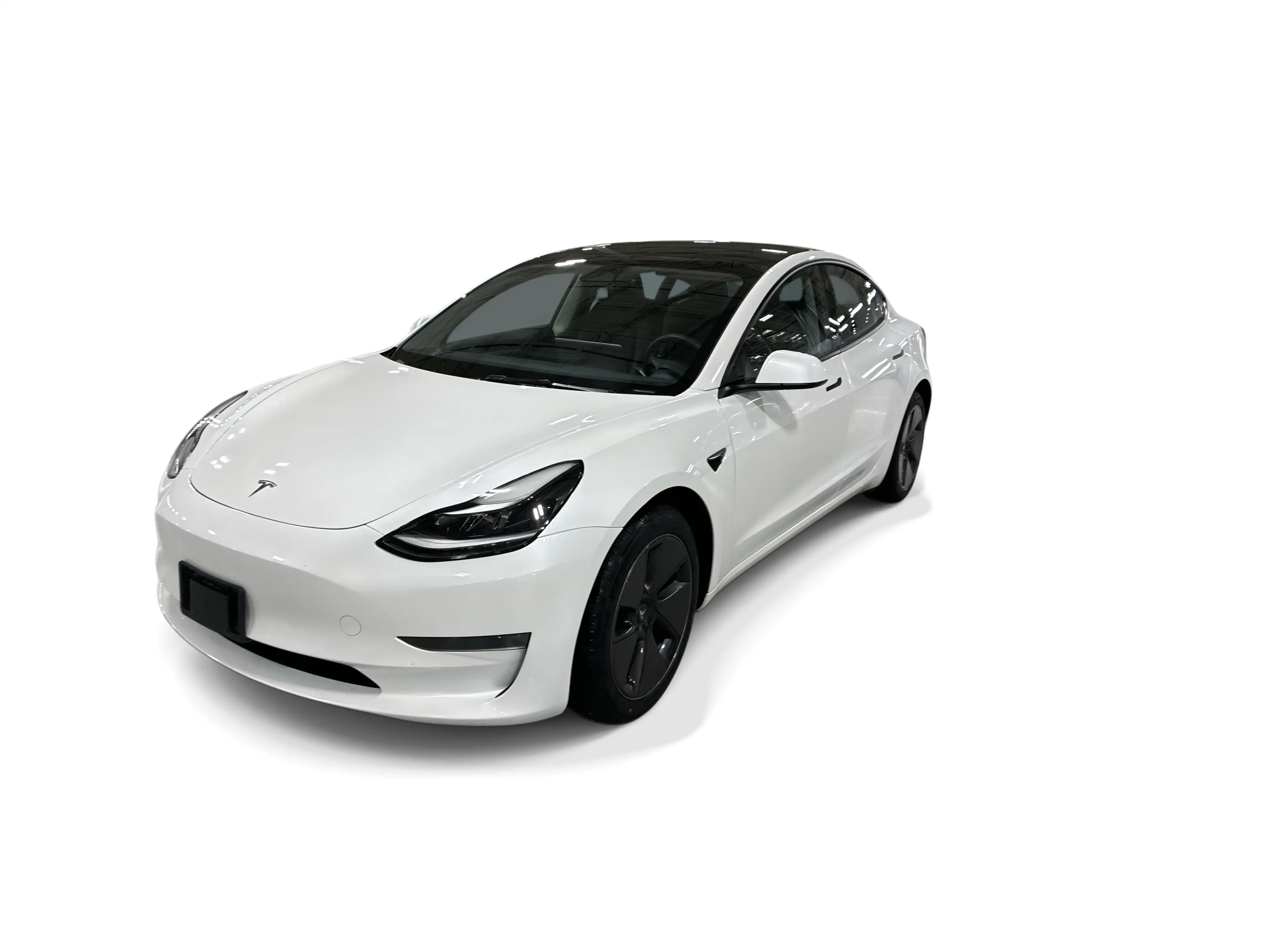 2023 Tesla Model 3 Base's photo