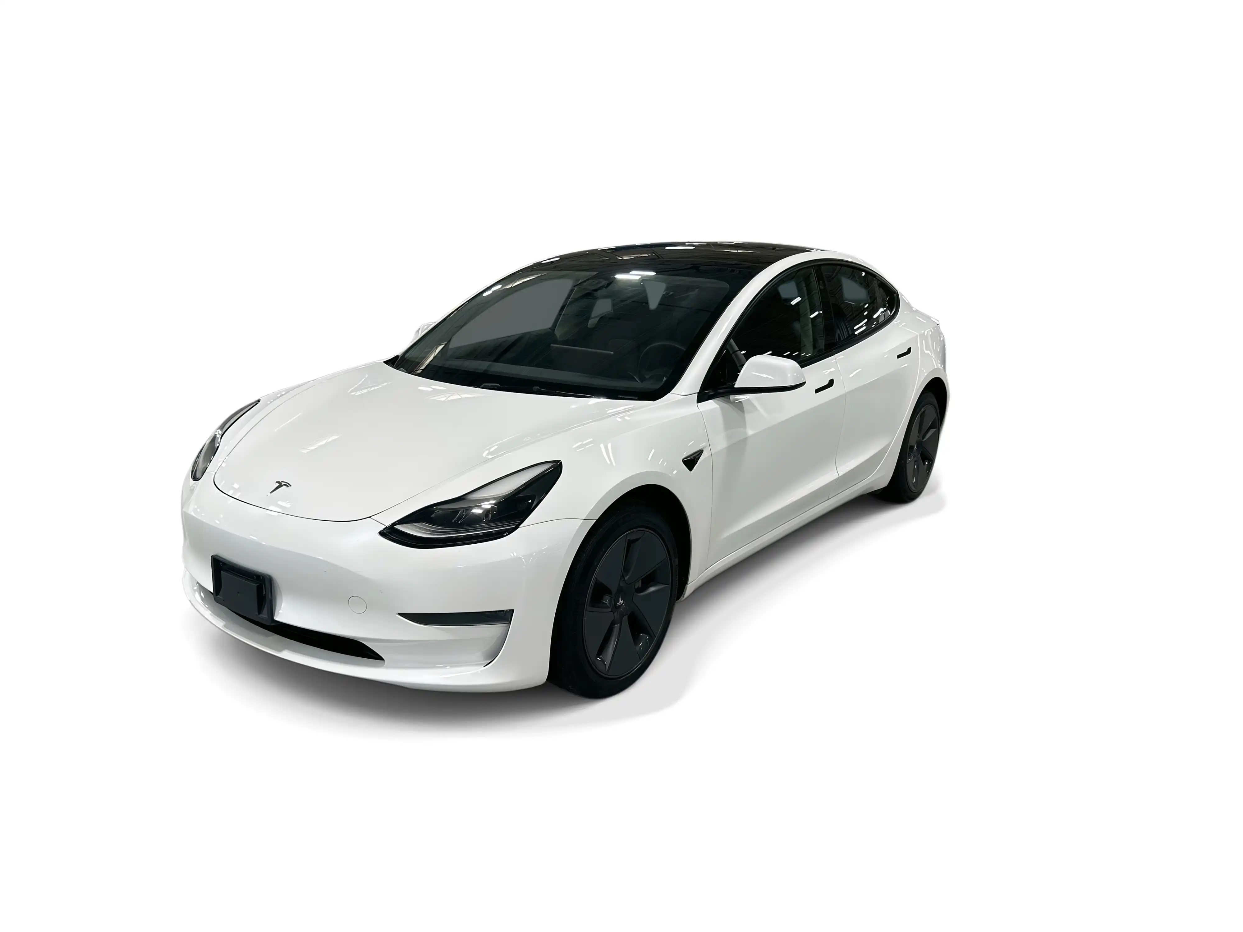 2023 Tesla Model 3 Base's photo