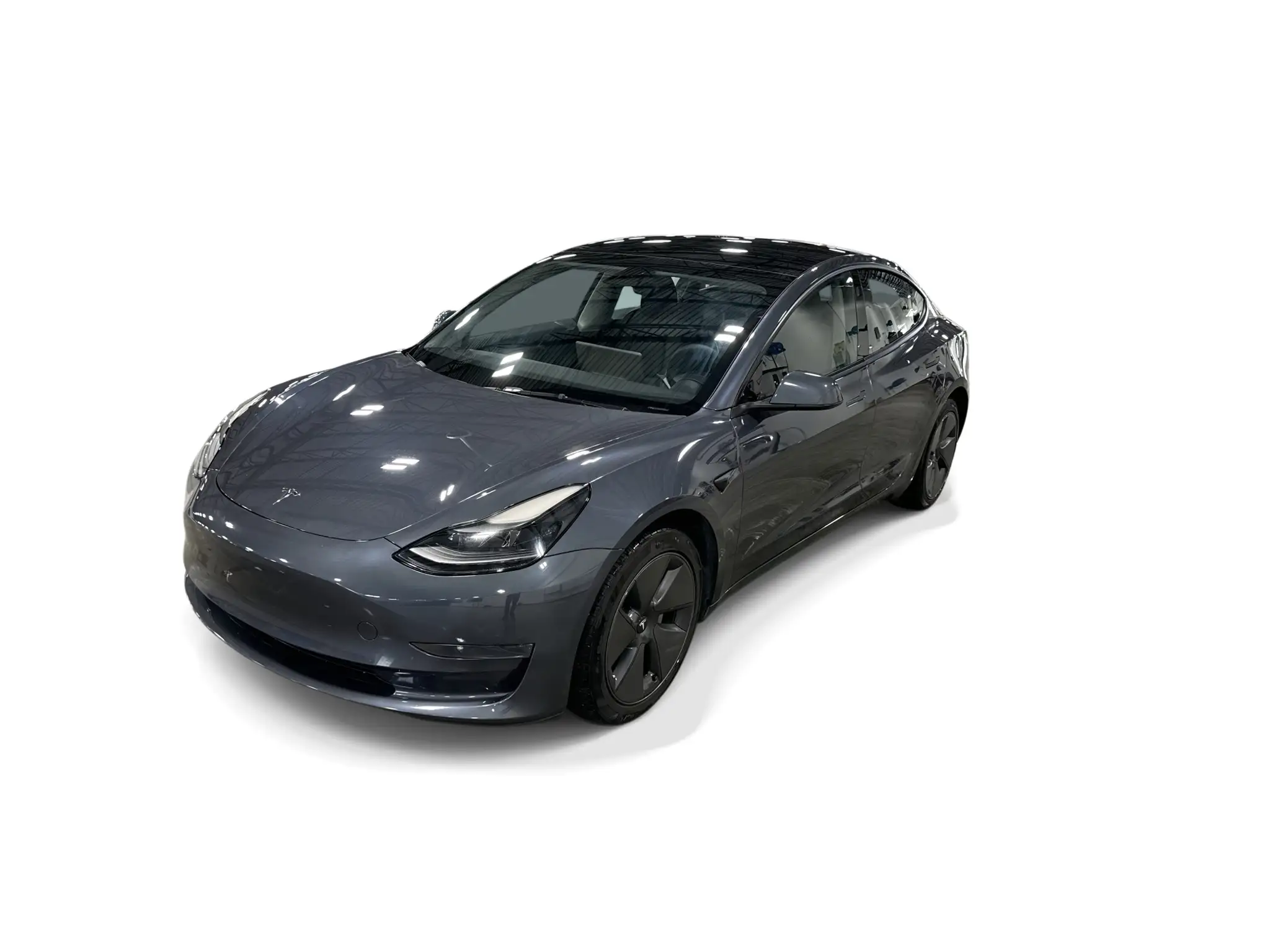 2023 Tesla Model 3 Base's photo