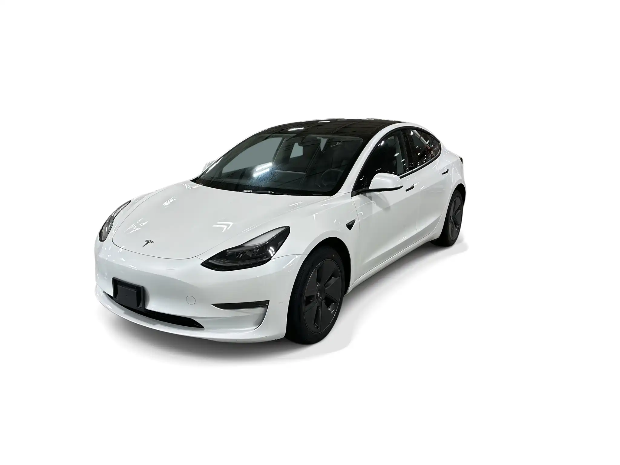 2023 Tesla Model 3 Base's photo