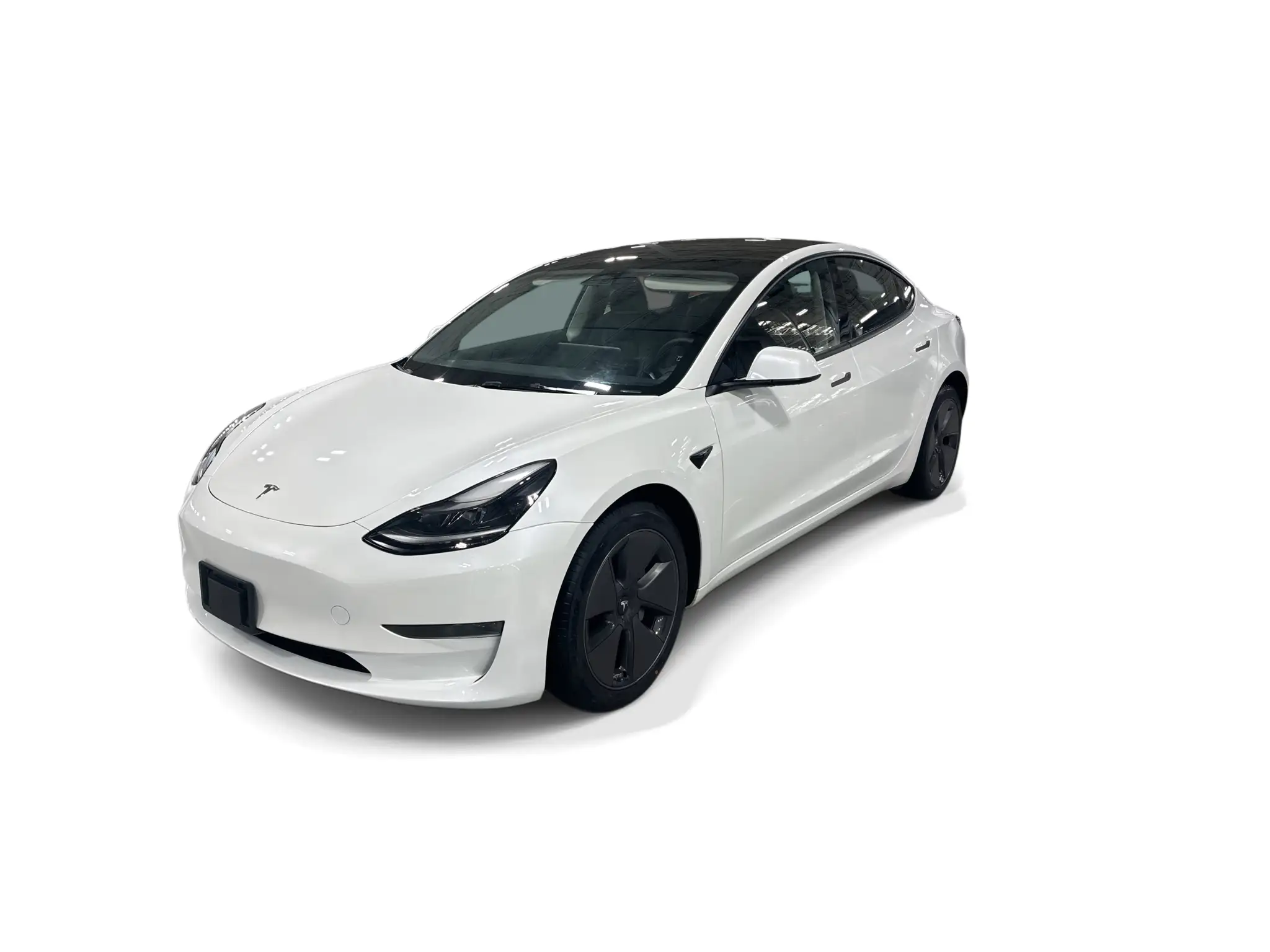 2023 Tesla Model 3 Base's photo
