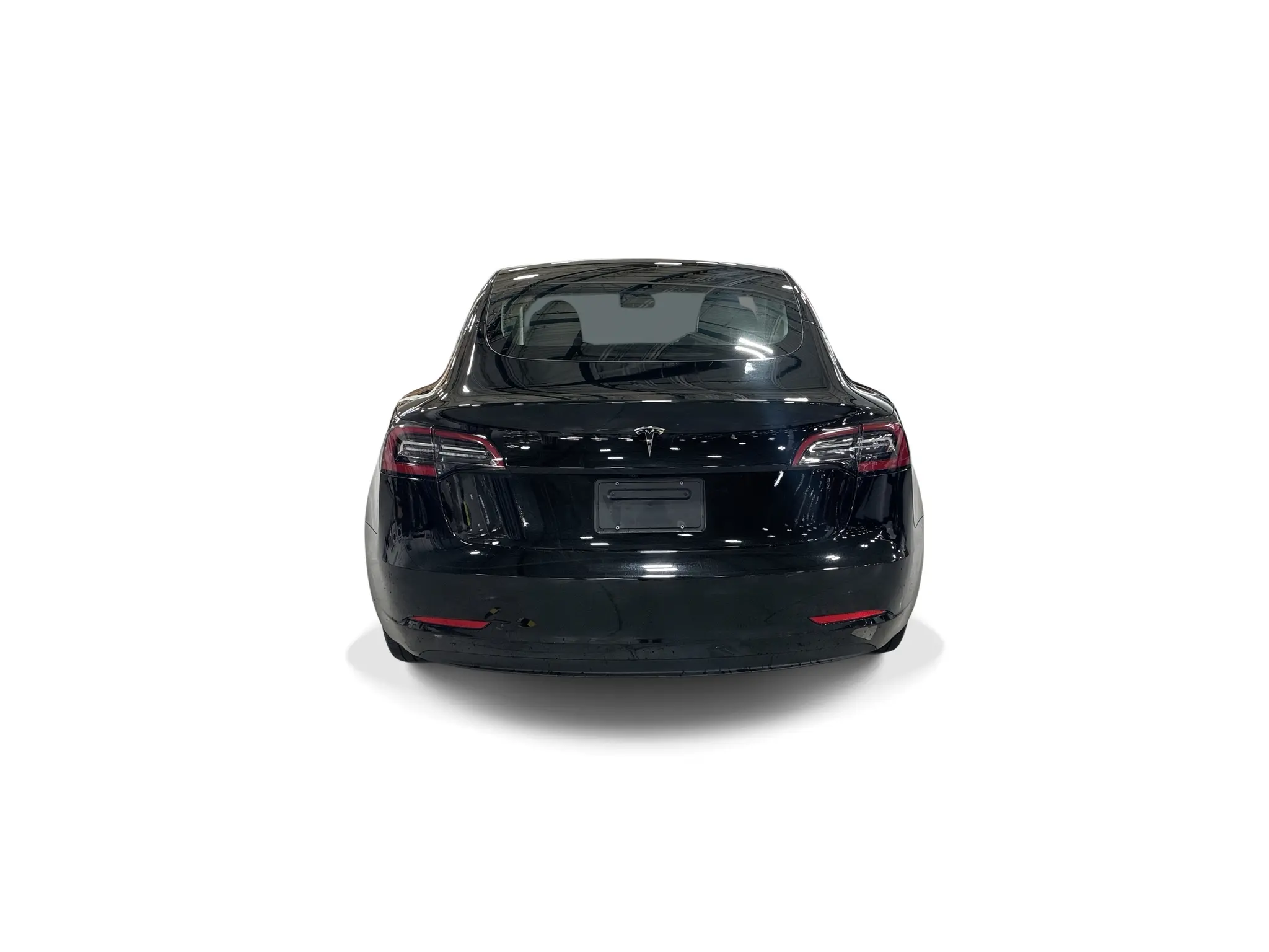 2023 Tesla Model 3 Base photo 5