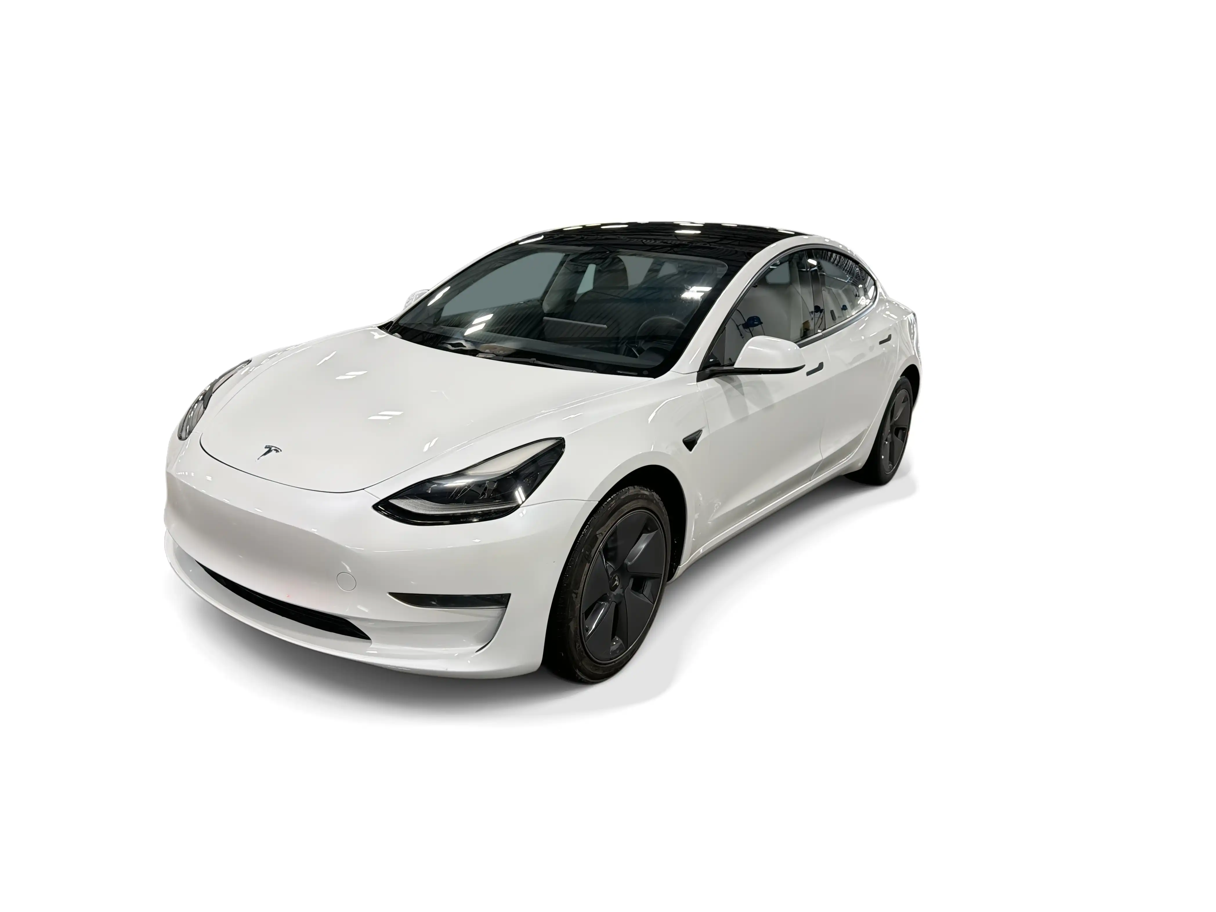 2023 Tesla Model 3 Base's photo