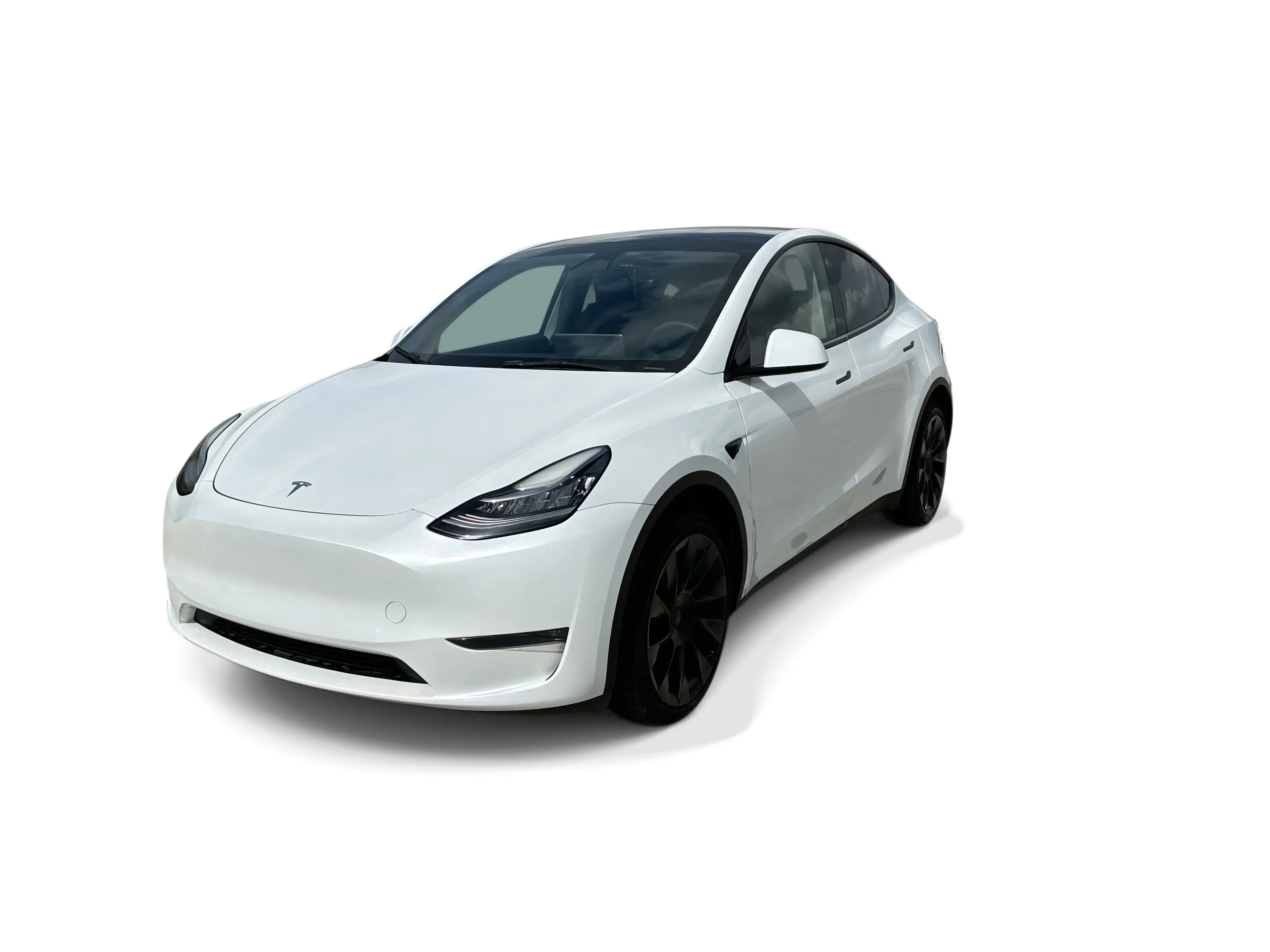 2023 Tesla Model Y Long Range Dual Motor All-Wheel Drive's photo