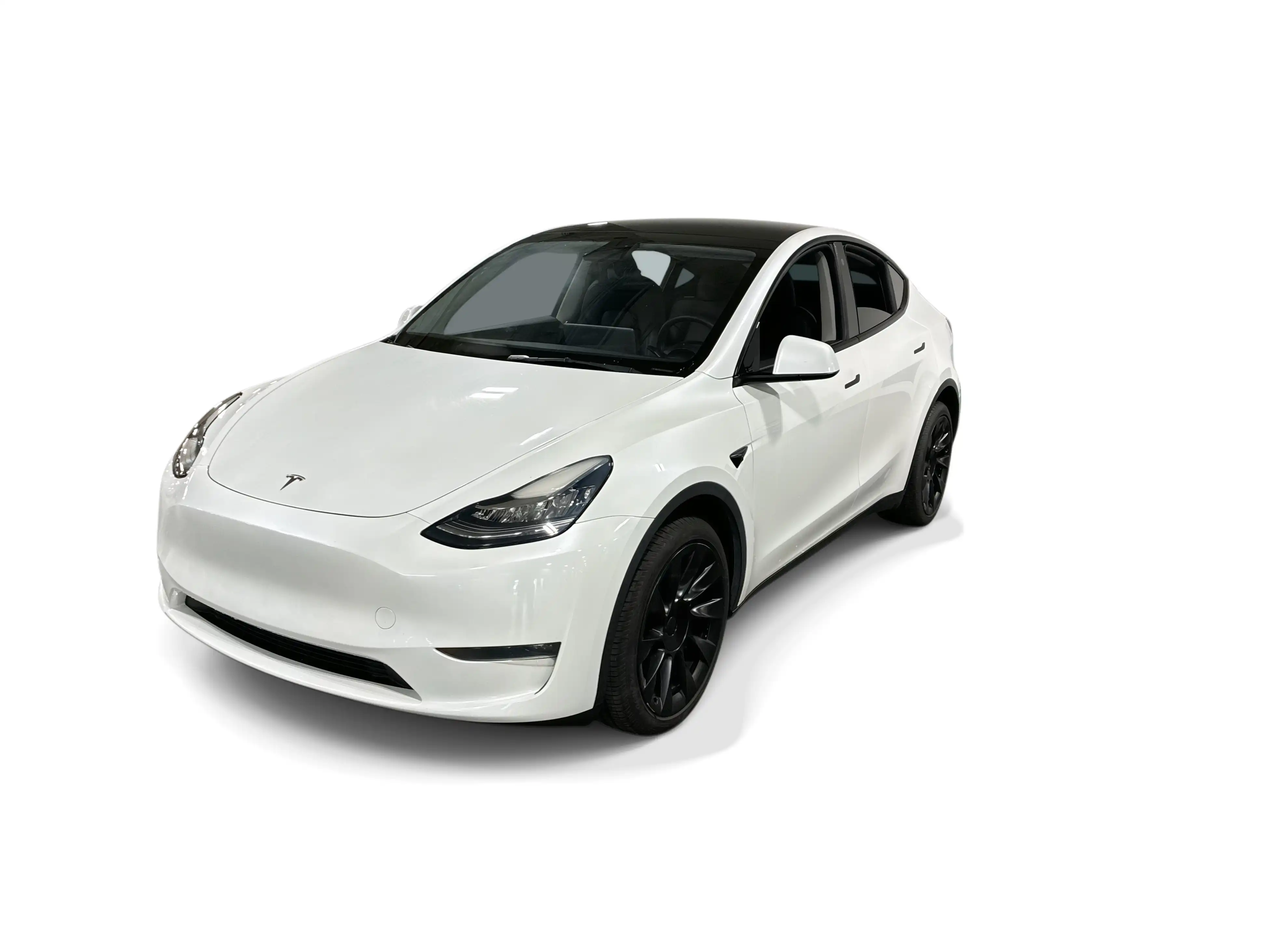 2023 Tesla Model Y Long Range Dual Motor All-Wheel Drive's photo