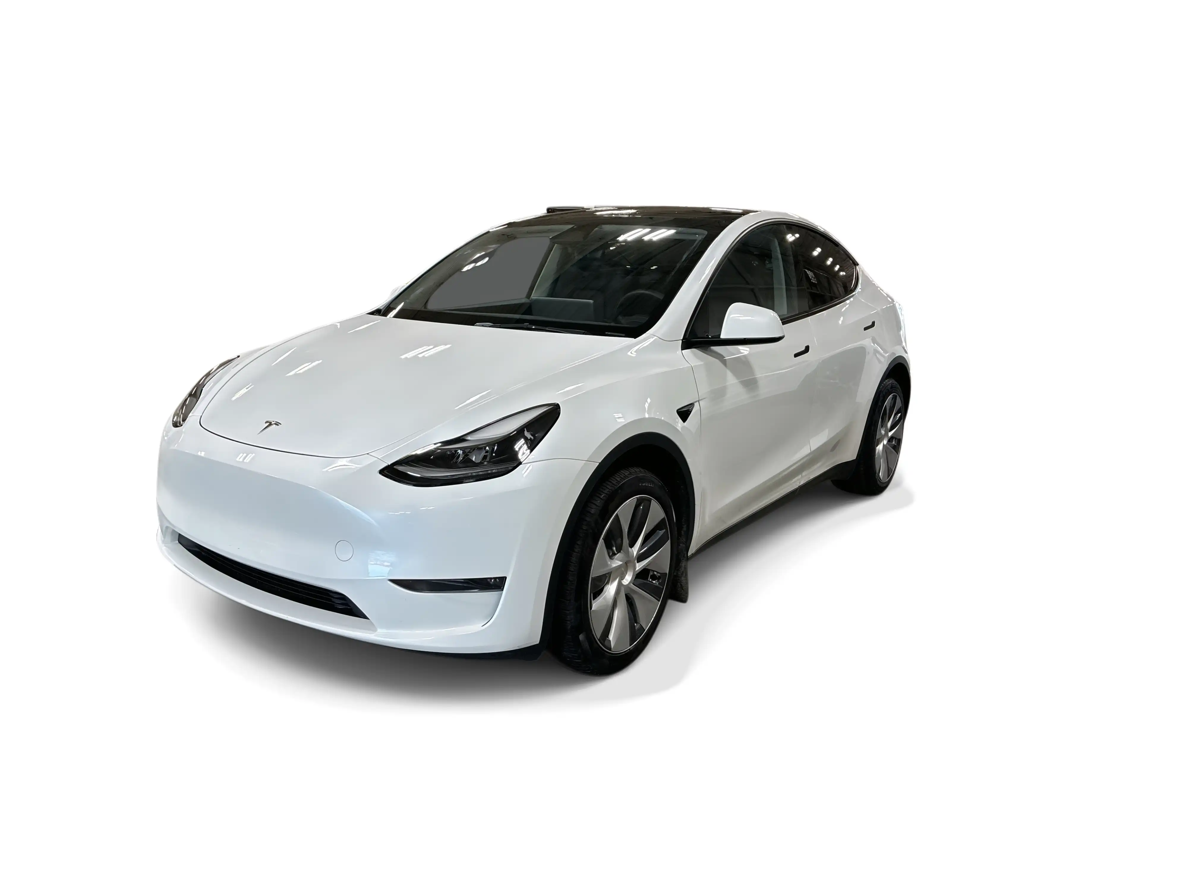 2023 Tesla Model Y Long Range Dual Motor All-Wheel Drive's photo