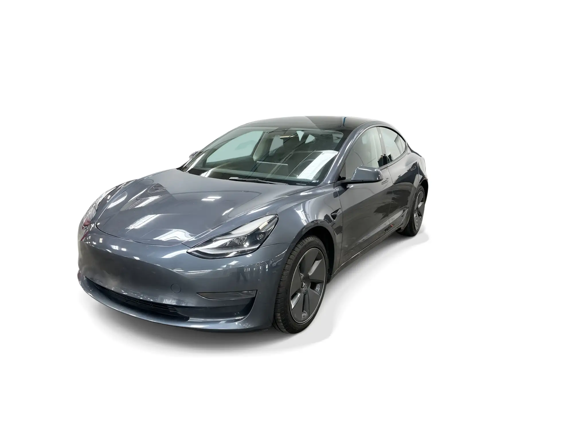 2023 Tesla Model 3 Base's photo