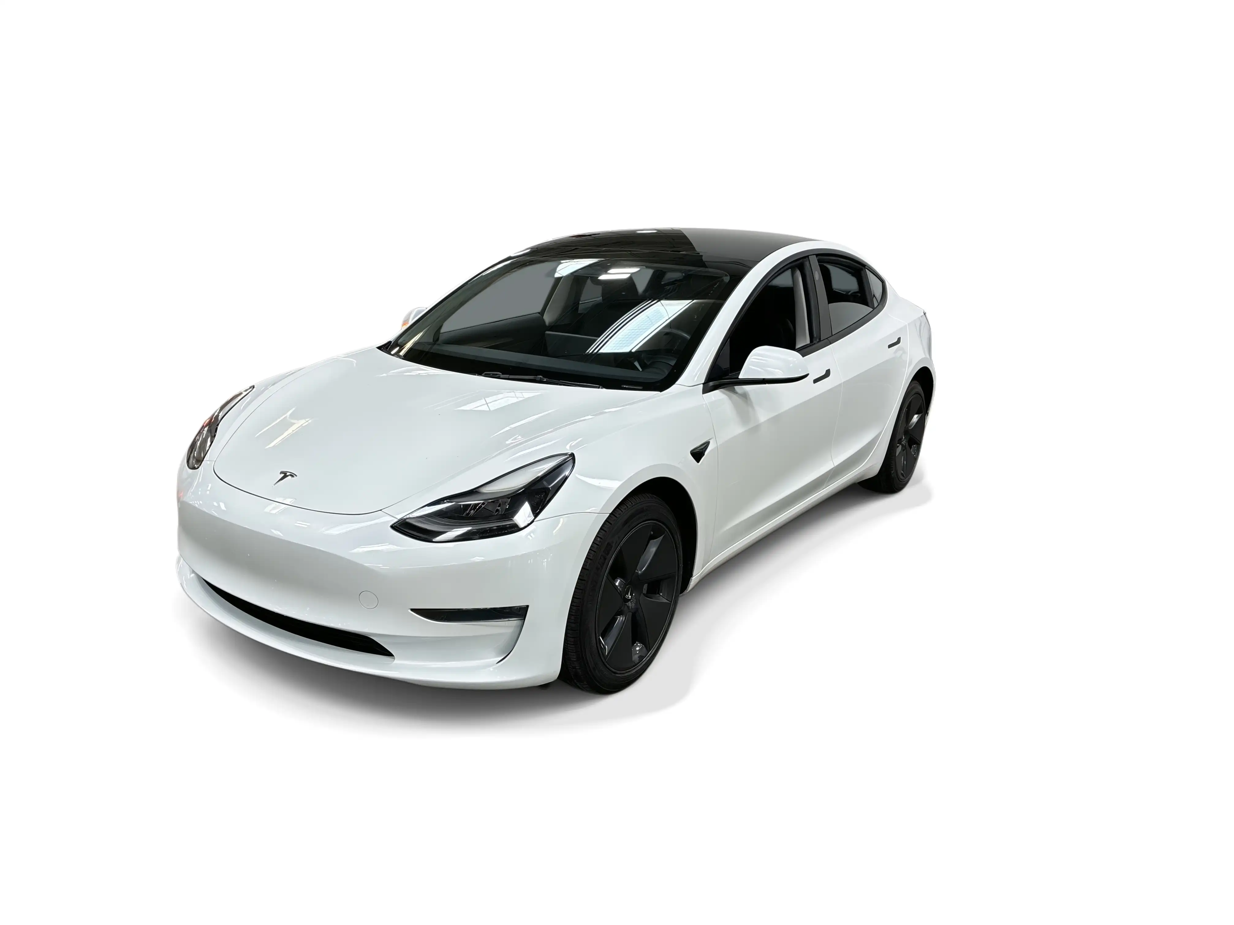 2023 Tesla Model 3 Base's photo