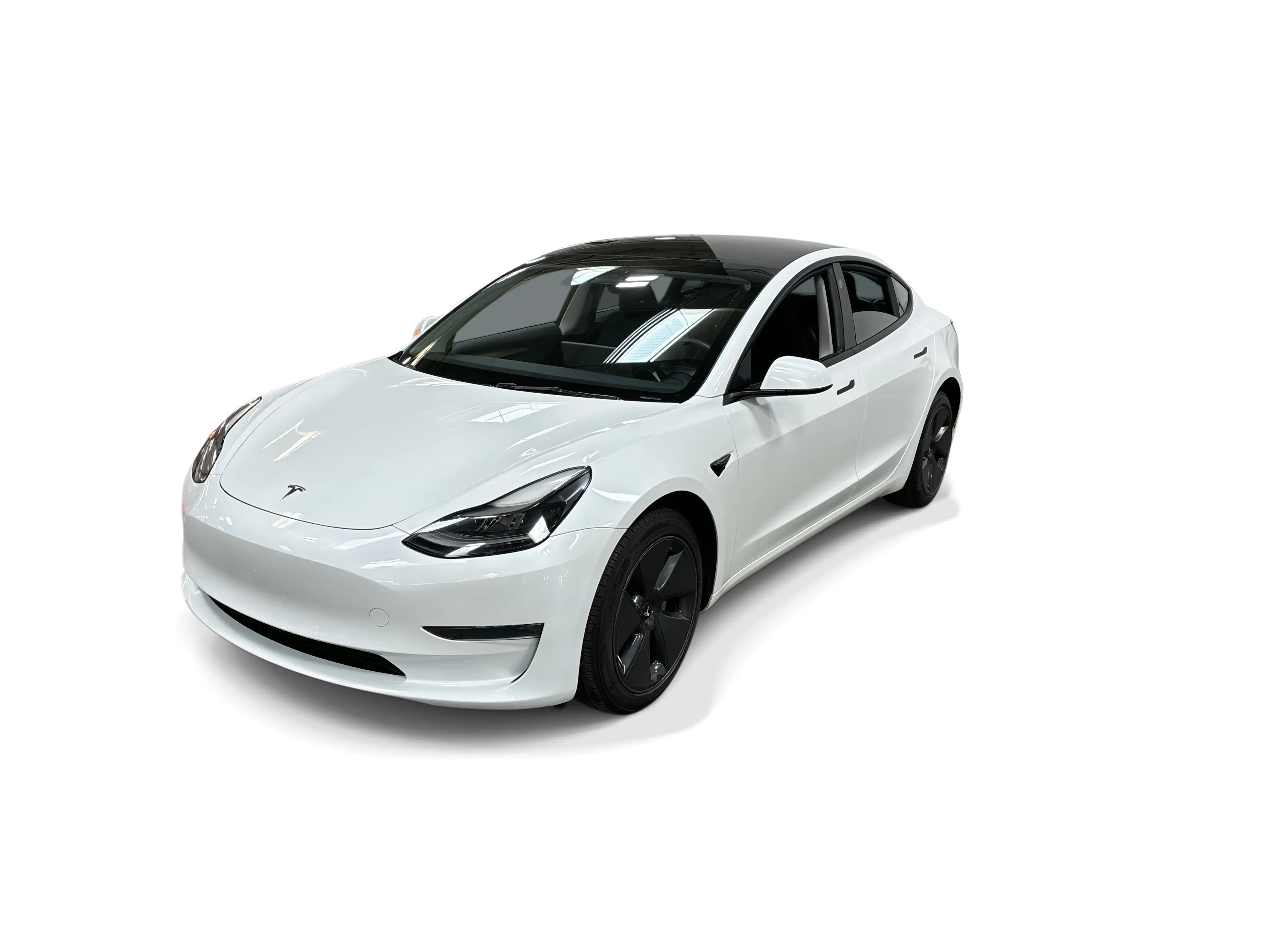 2023 Tesla Model 3 Base's photo