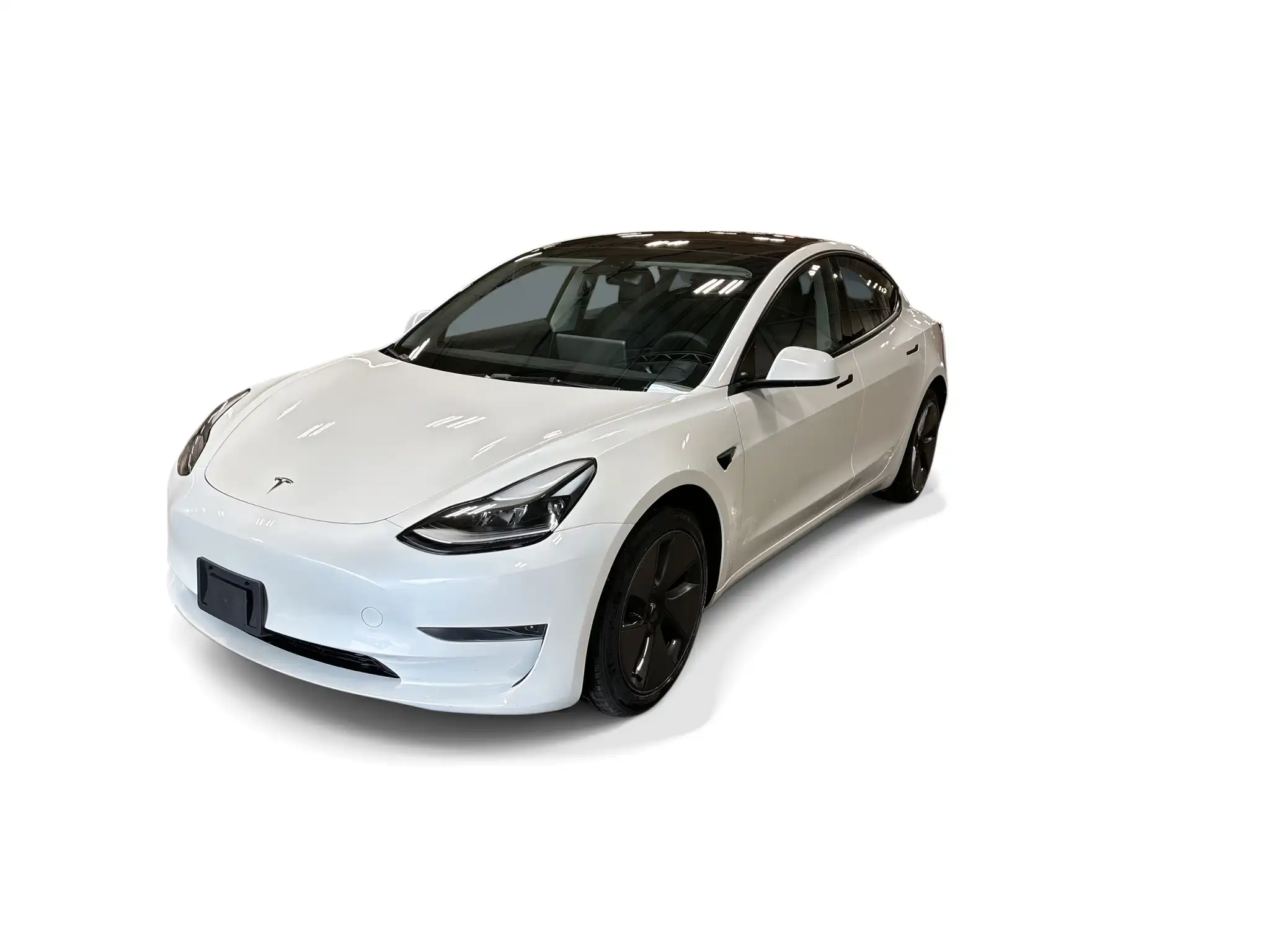 2023 Tesla Model 3 Base's photo