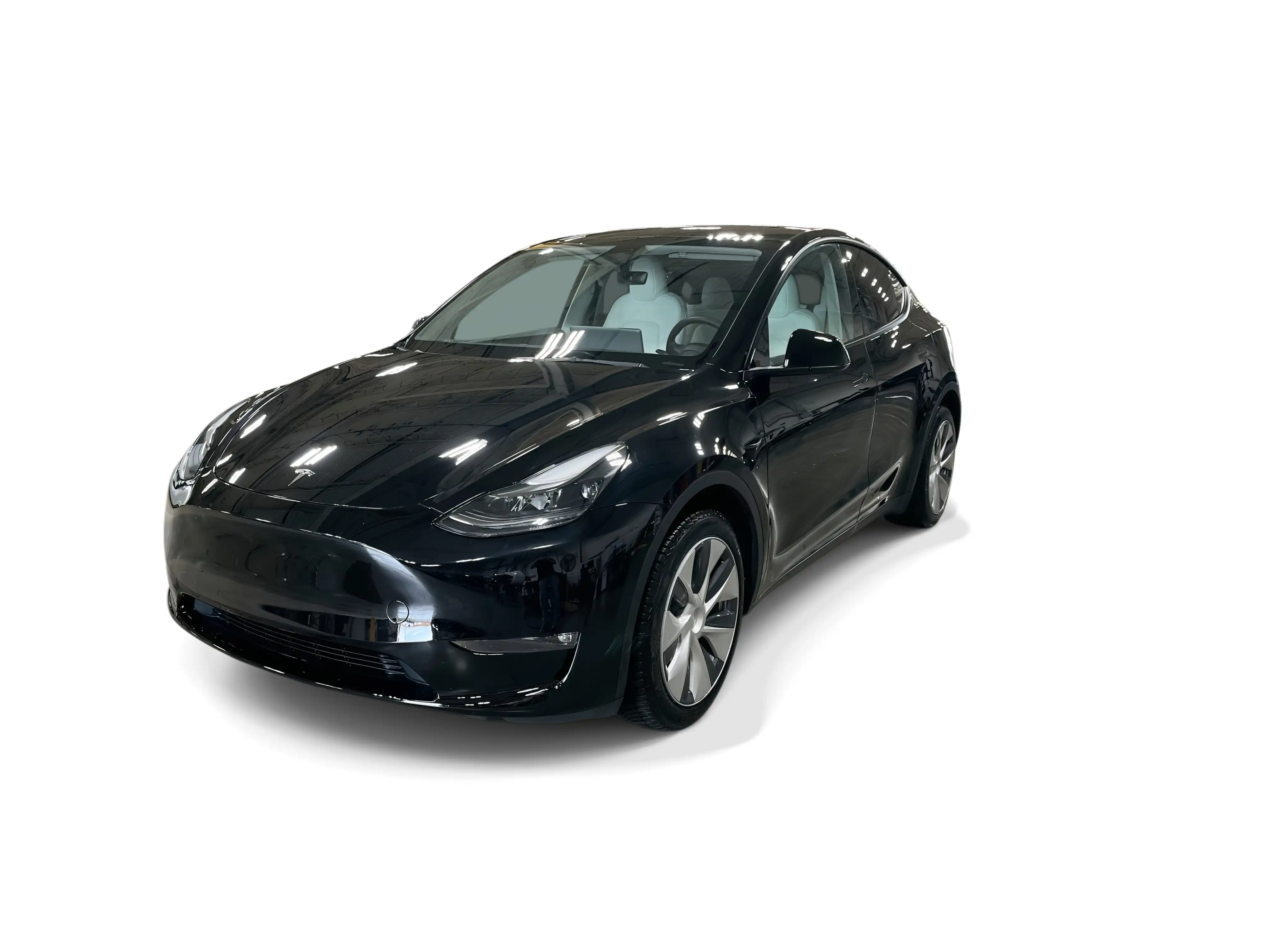 2023 Tesla Model Y Long Range Dual Motor All-Wheel Drive's photo