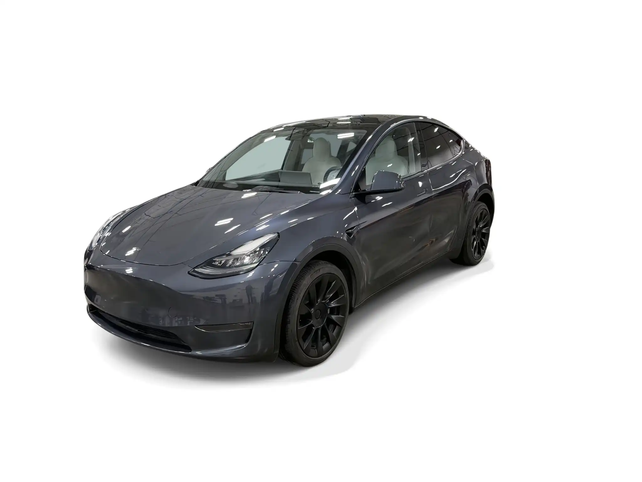 2023 Tesla Model Y Long Range Dual Motor All-Wheel Drive's photo