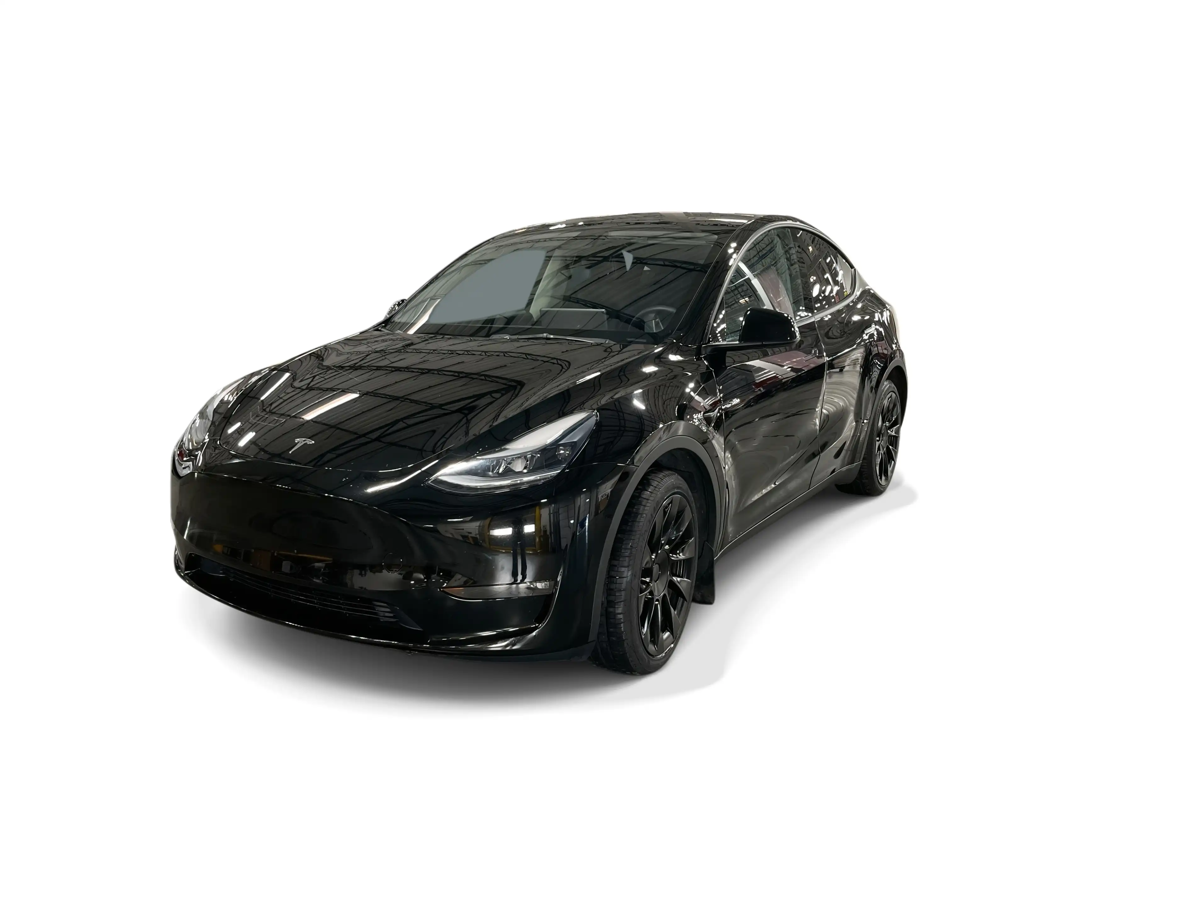 2023 Tesla Model Y Long Range Dual Motor All-Wheel Drive's photo