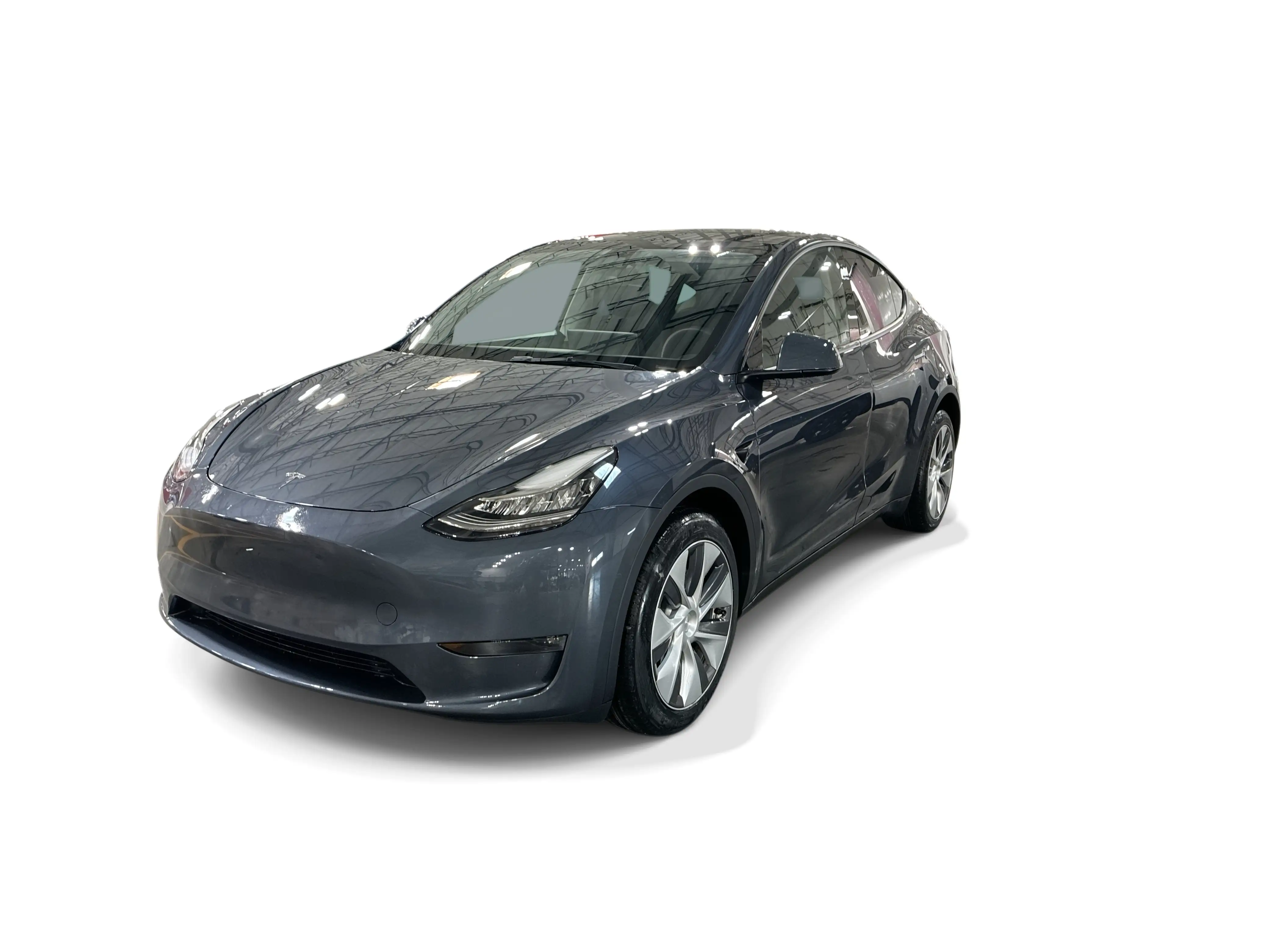 2023 Tesla Model Y Long Range Dual Motor All-Wheel Drive's photo