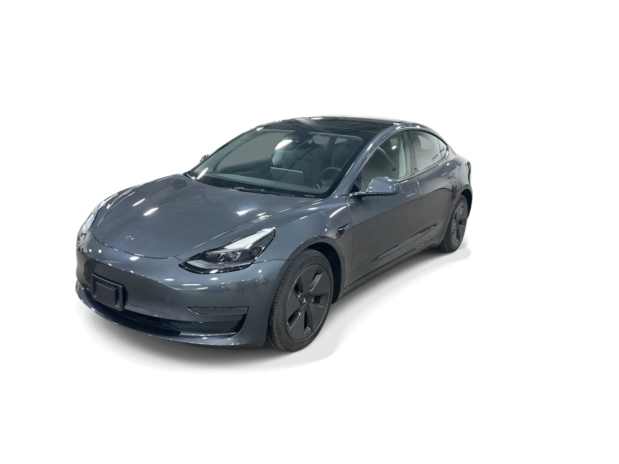 2023 Tesla Model 3 Base's photo