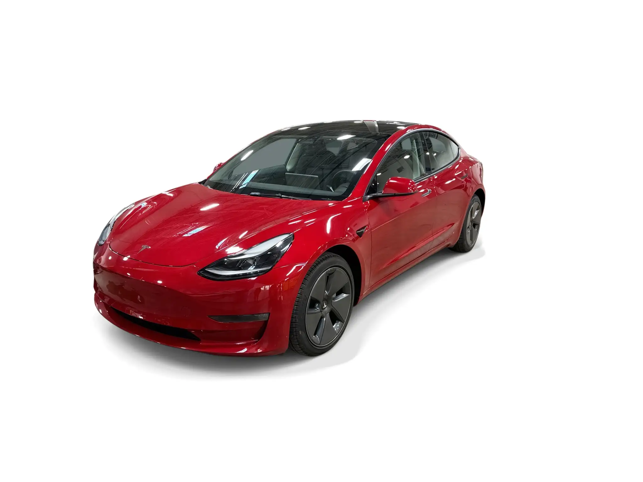 2023 Tesla Model 3 Base's photo