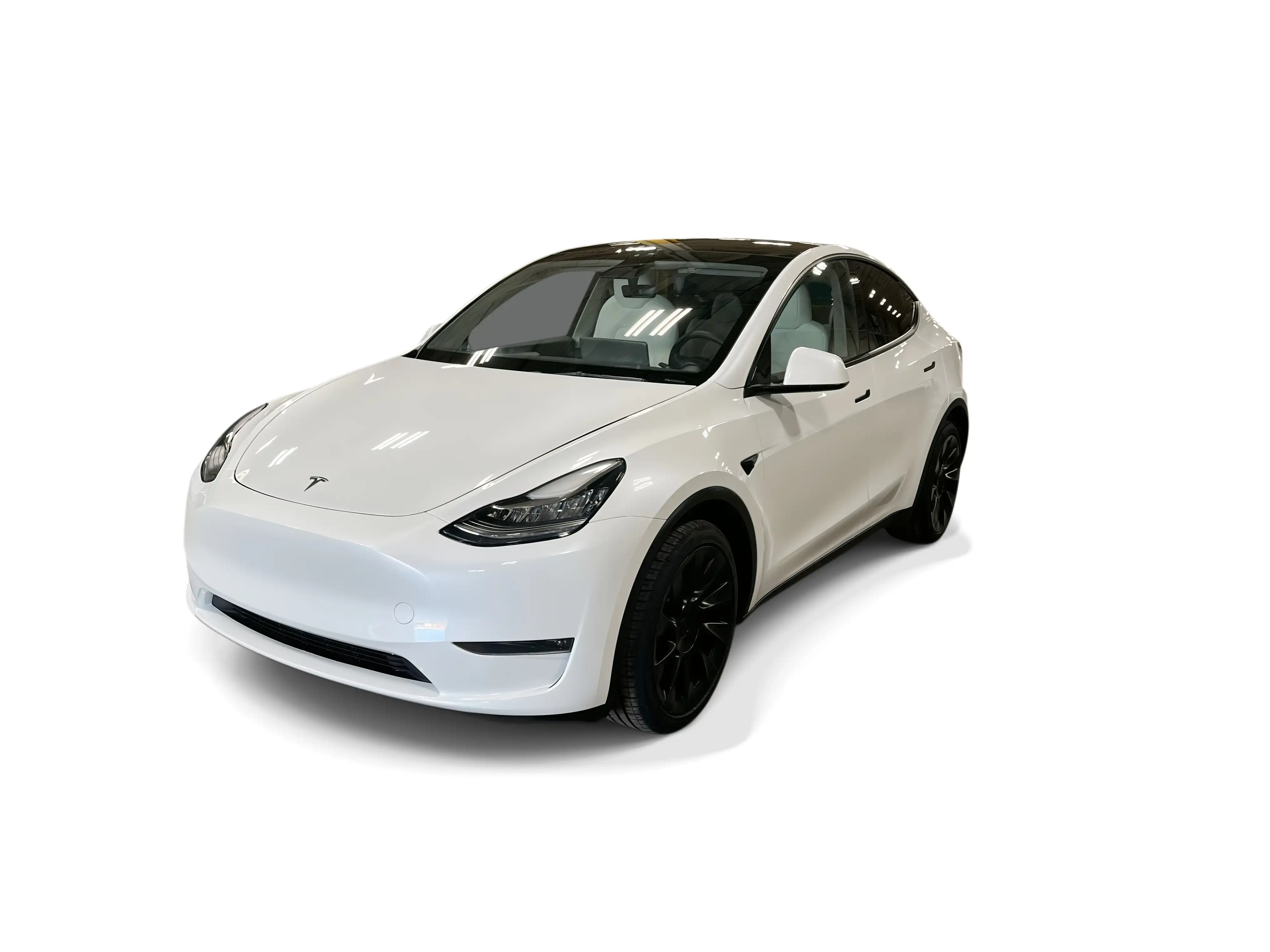 2023 Tesla Model Y Long Range Dual Motor All-Wheel Drive's photo