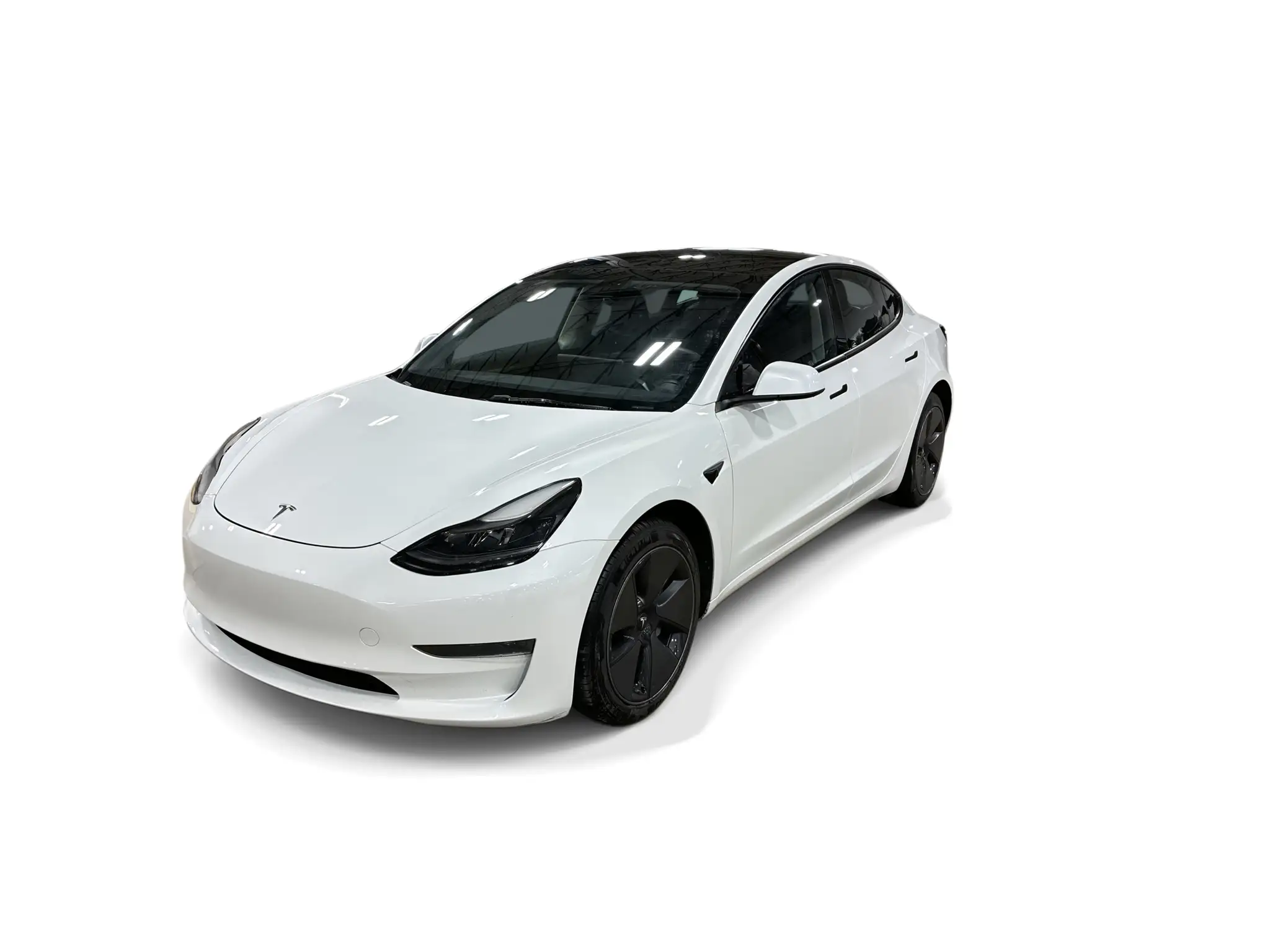 2023 Tesla Model 3 Base's photo