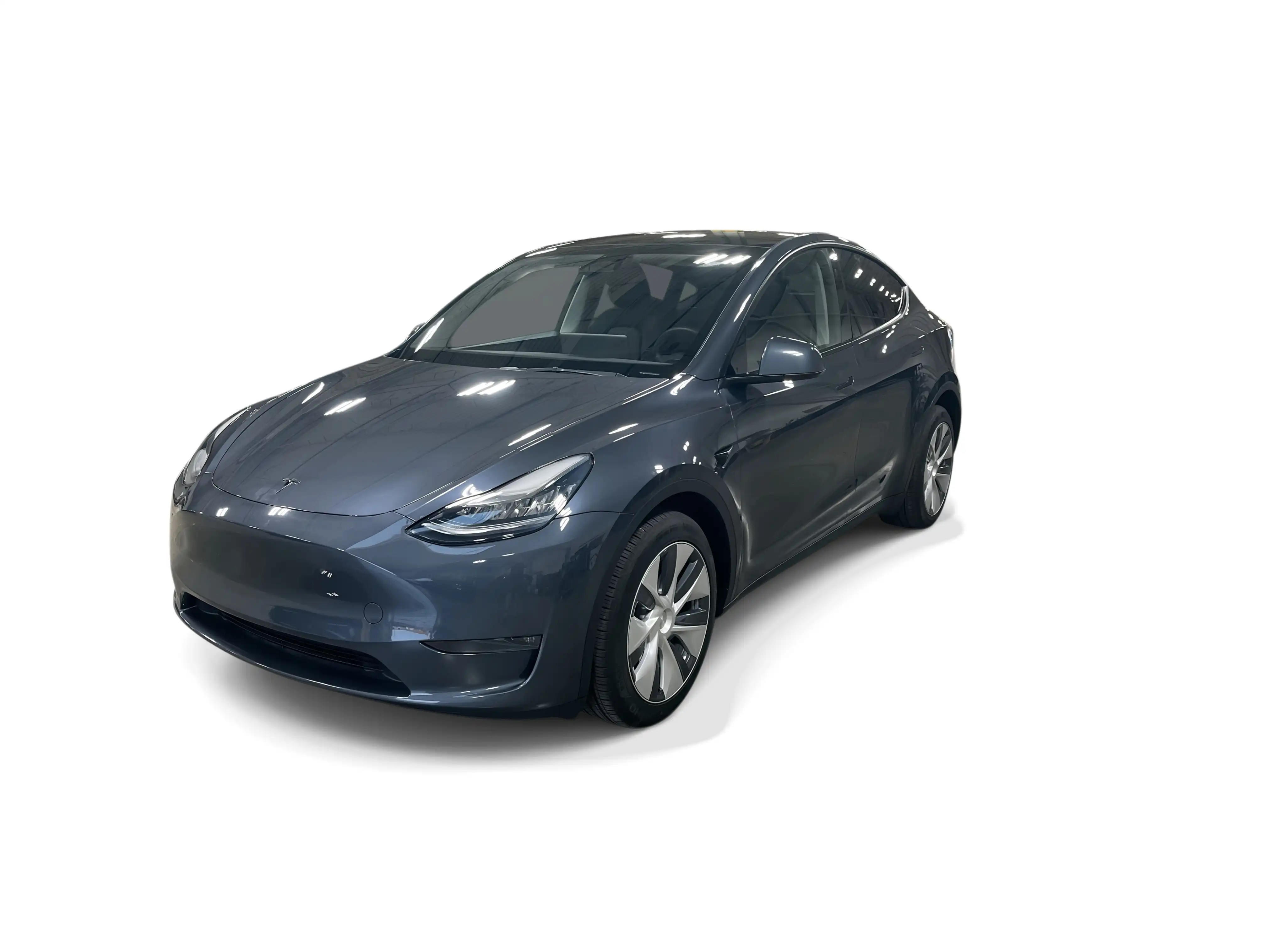 2023 Tesla Model Y Long Range Dual Motor All-Wheel Drive's photo
