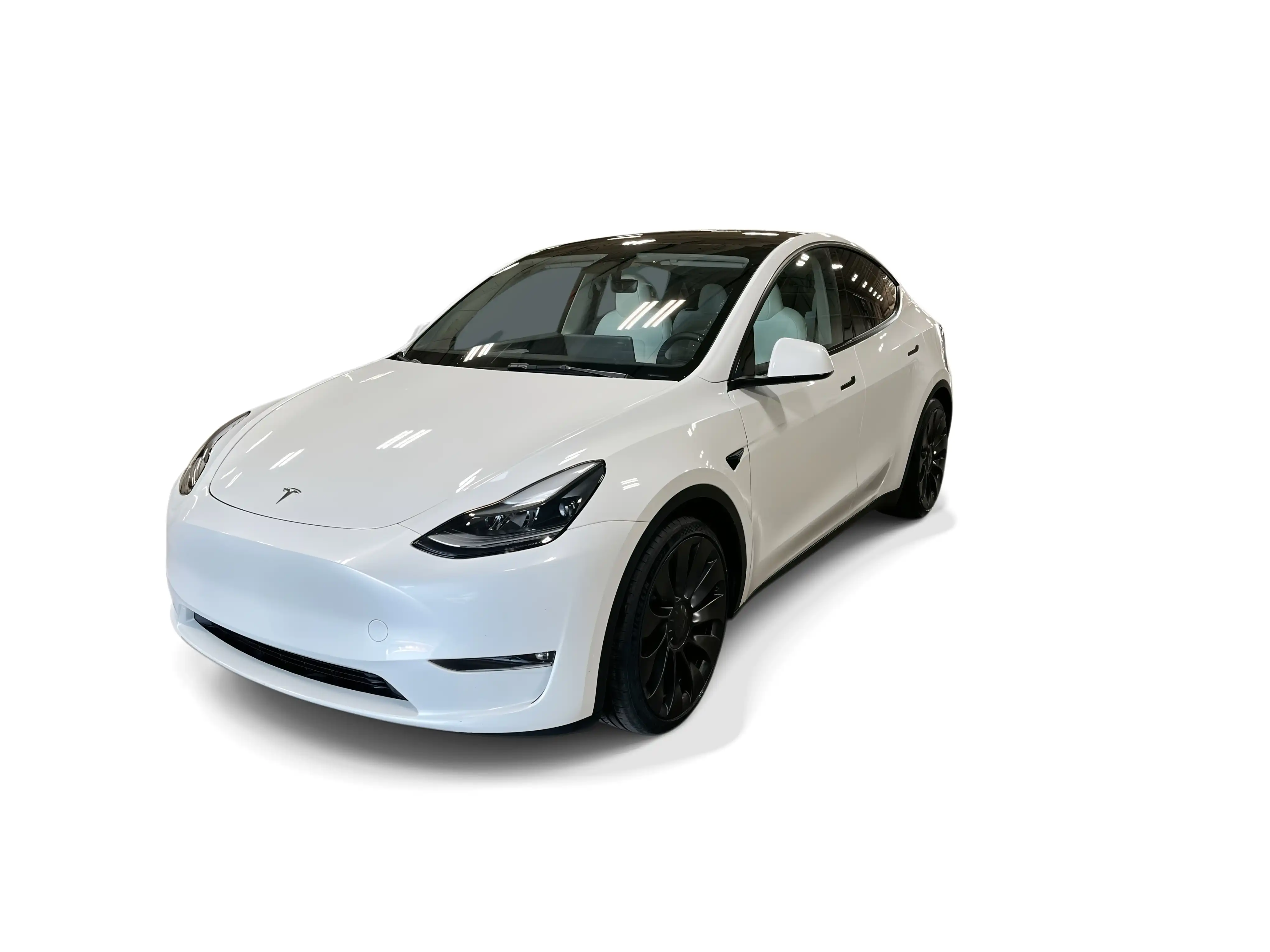 2023 Tesla Model Y Performance Dual Motor All-Wheel Drive's photo