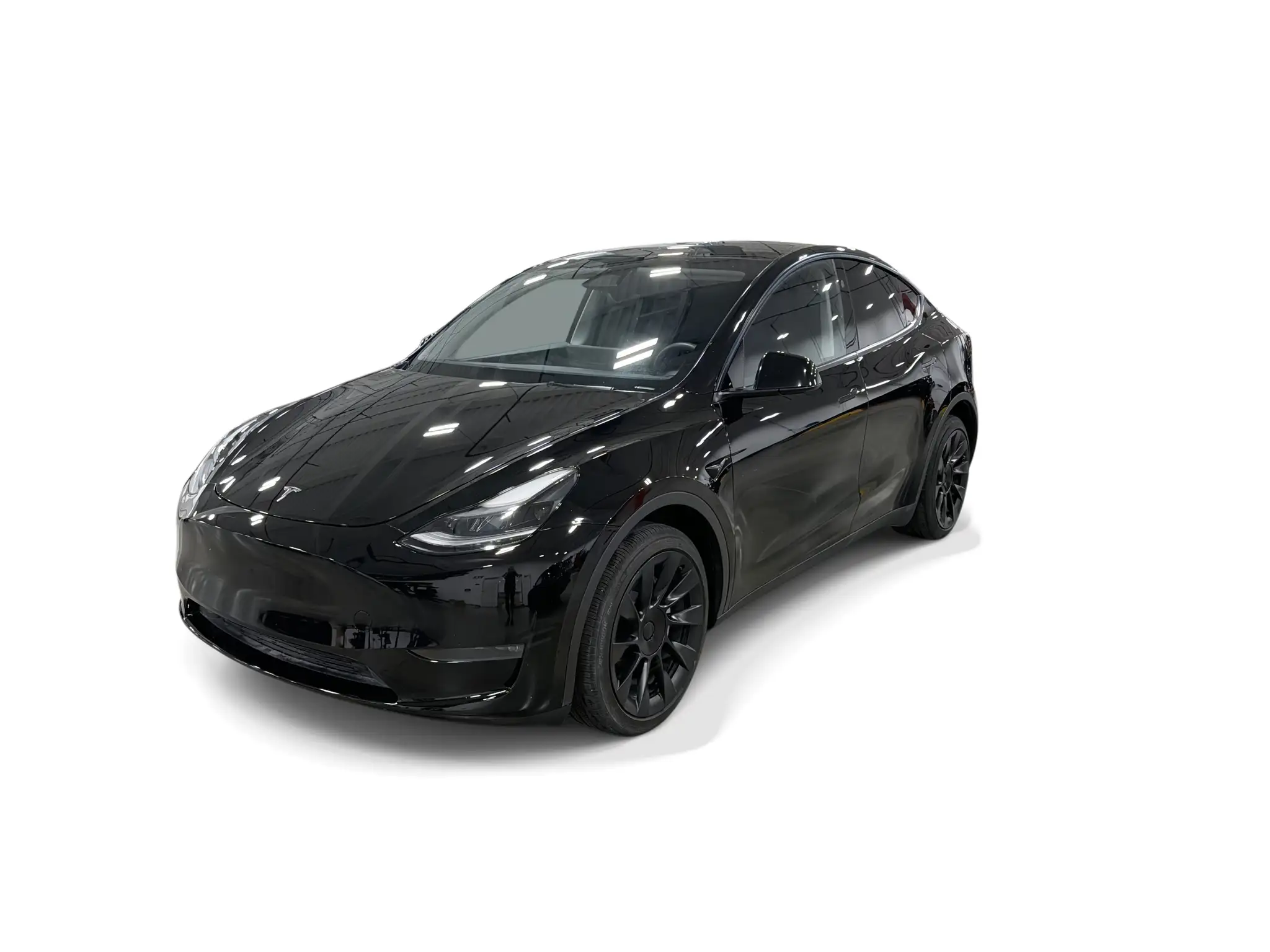 2023 Tesla Model Y Long Range Dual Motor All-Wheel Drive's photo