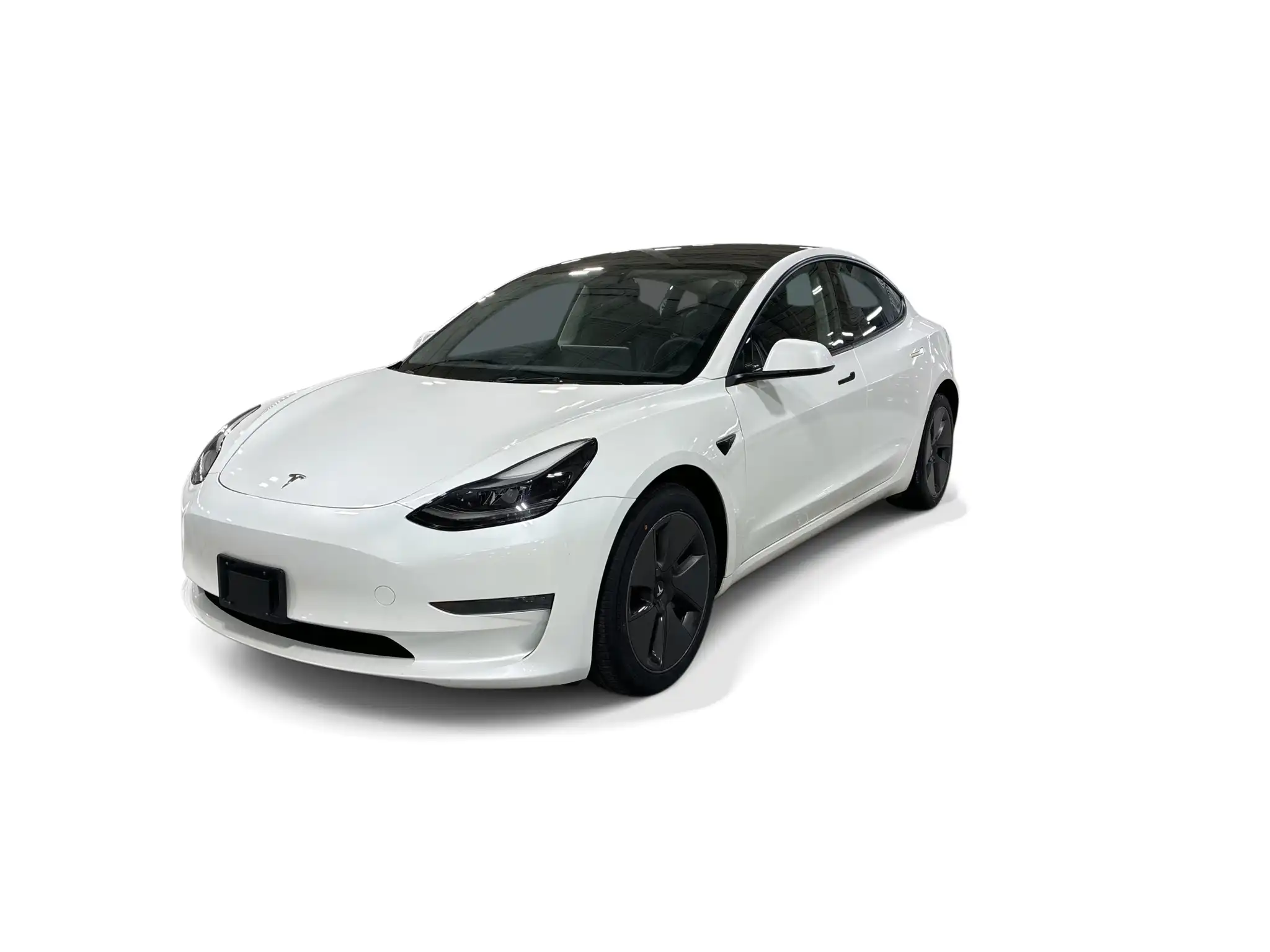 2023 Tesla Model 3 Base's photo