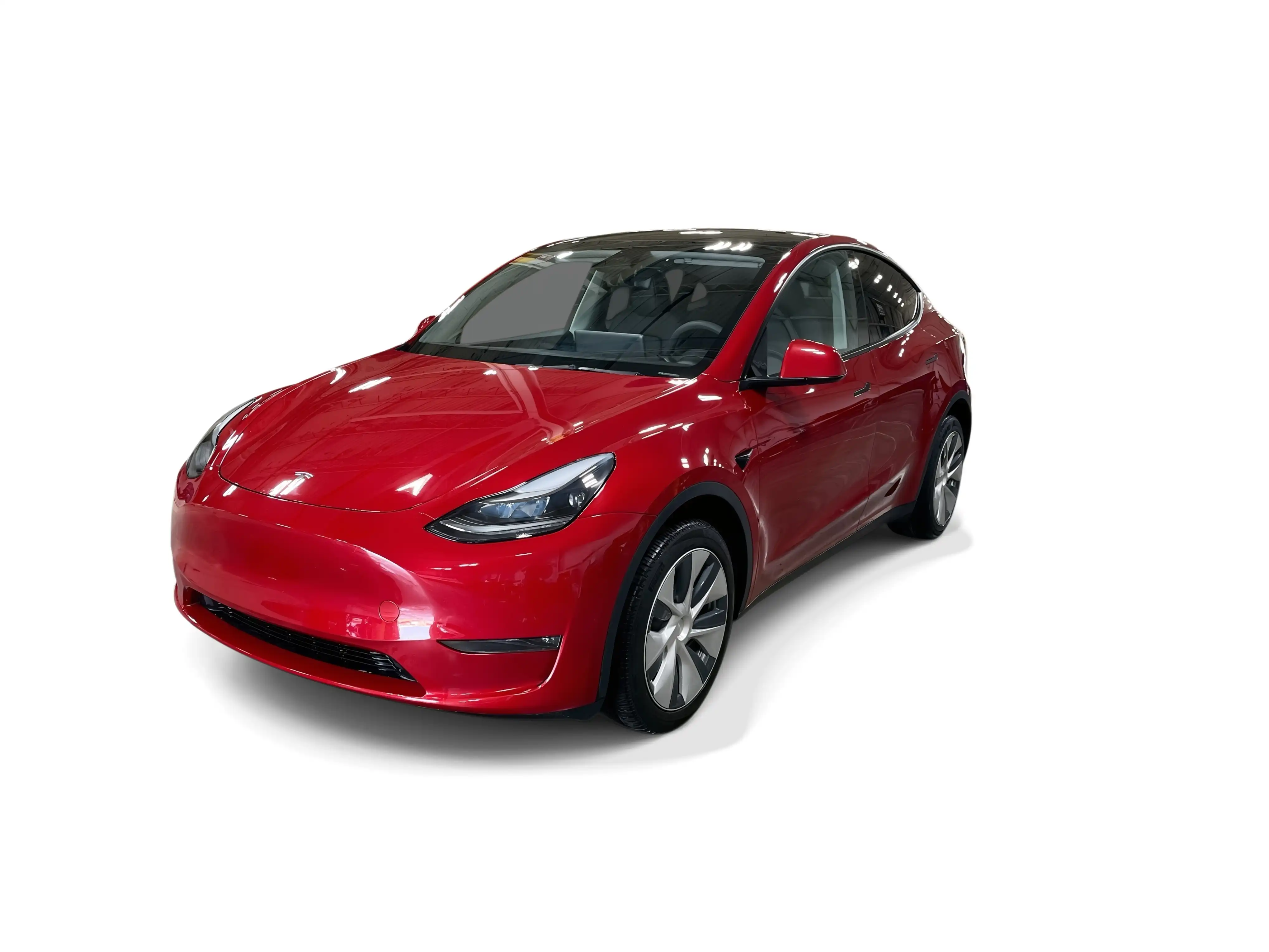 2023 Tesla Model Y Long Range Dual Motor All-Wheel Drive's photo