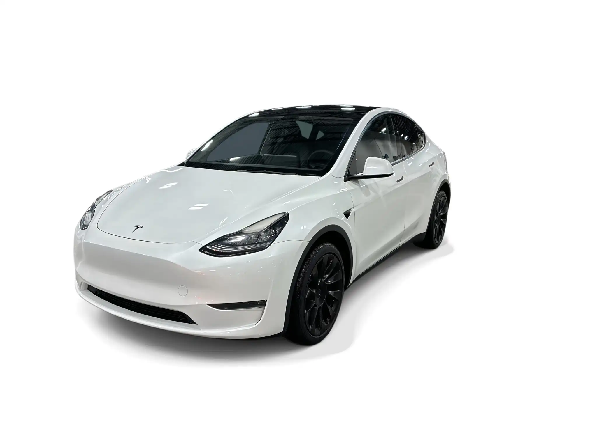 2023 Tesla Model Y Long Range Dual Motor All-Wheel Drive's photo