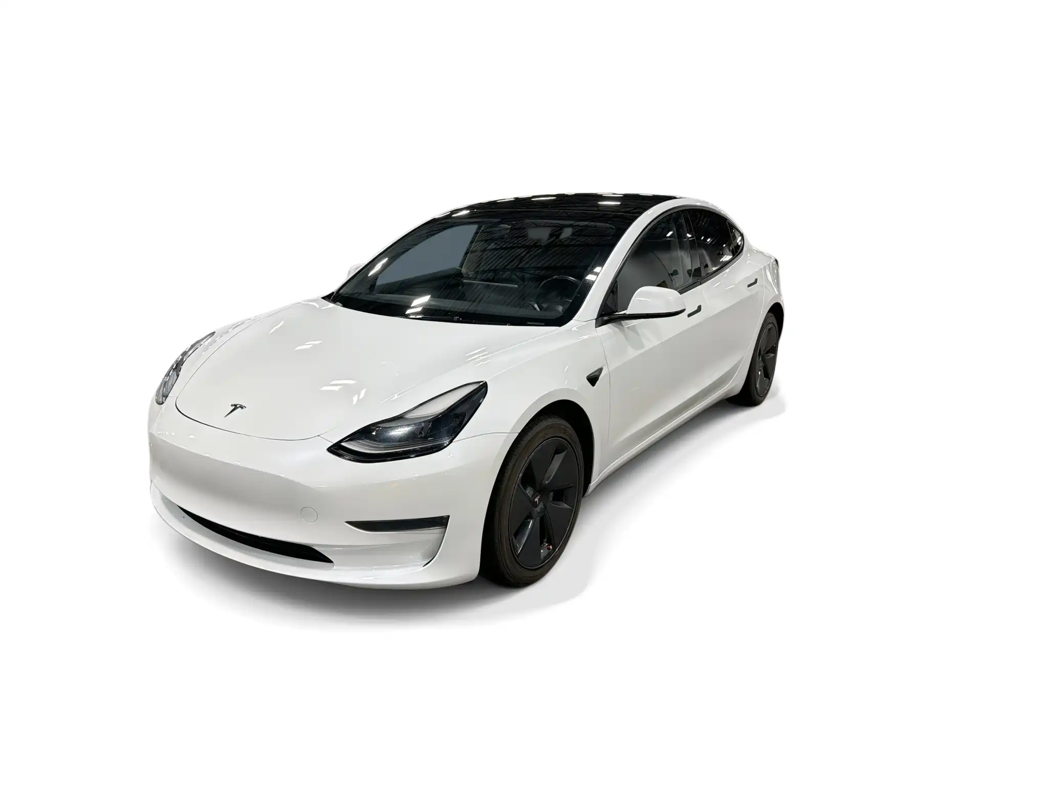 2023 Tesla Model 3 Base's photo