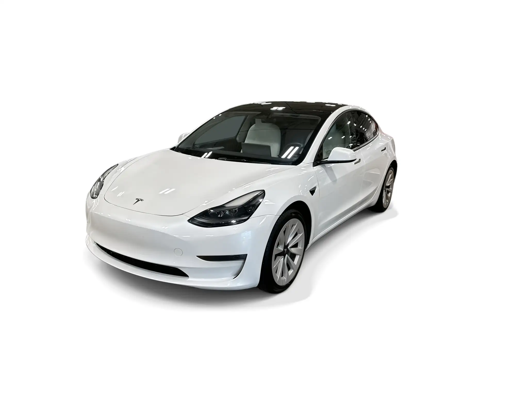 2023 Tesla Model 3 Base's photo