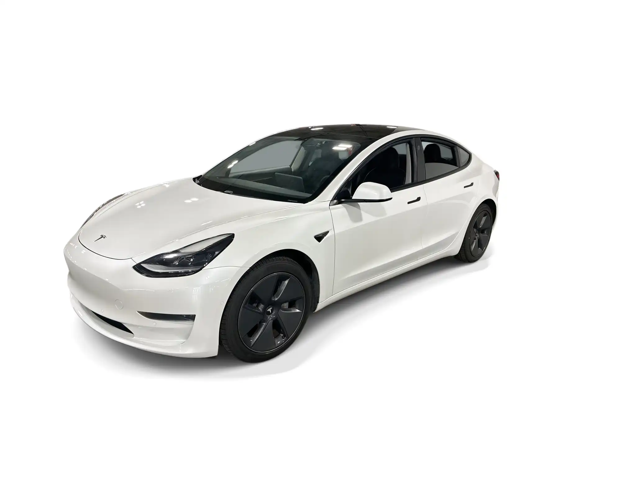 2021 Tesla Model 3 Standard Range Plus's photo