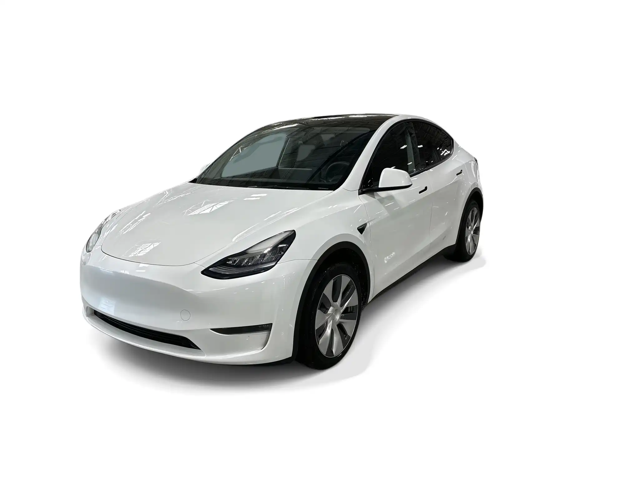 2023 Tesla Model Y Long Range Dual Motor All-Wheel Drive's photo