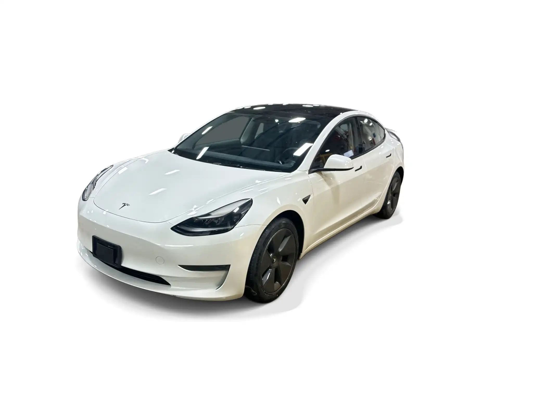 2023 Tesla Model 3 Base's photo