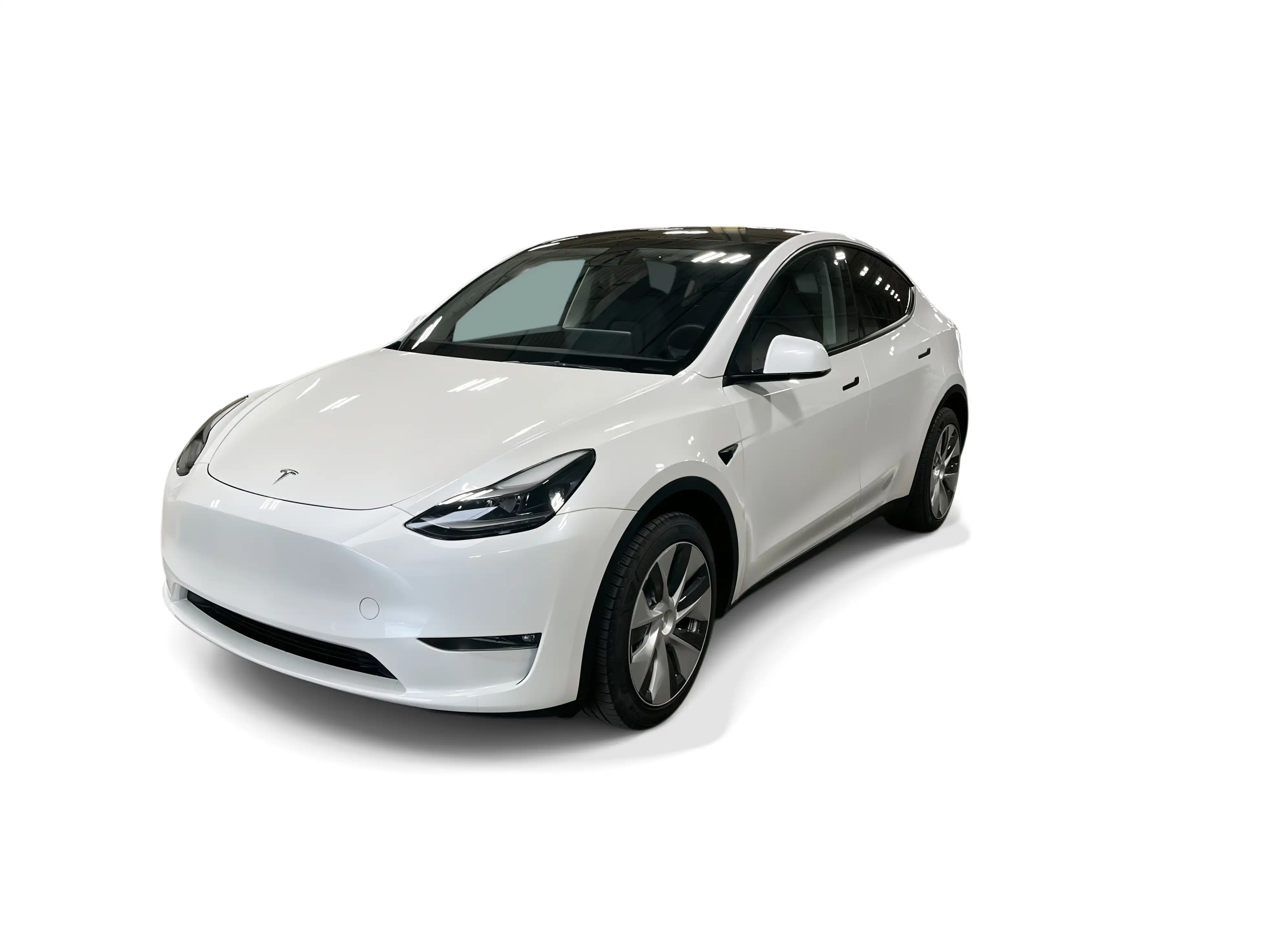 2023 Tesla Model Y Long Range Dual Motor All-Wheel Drive's photo