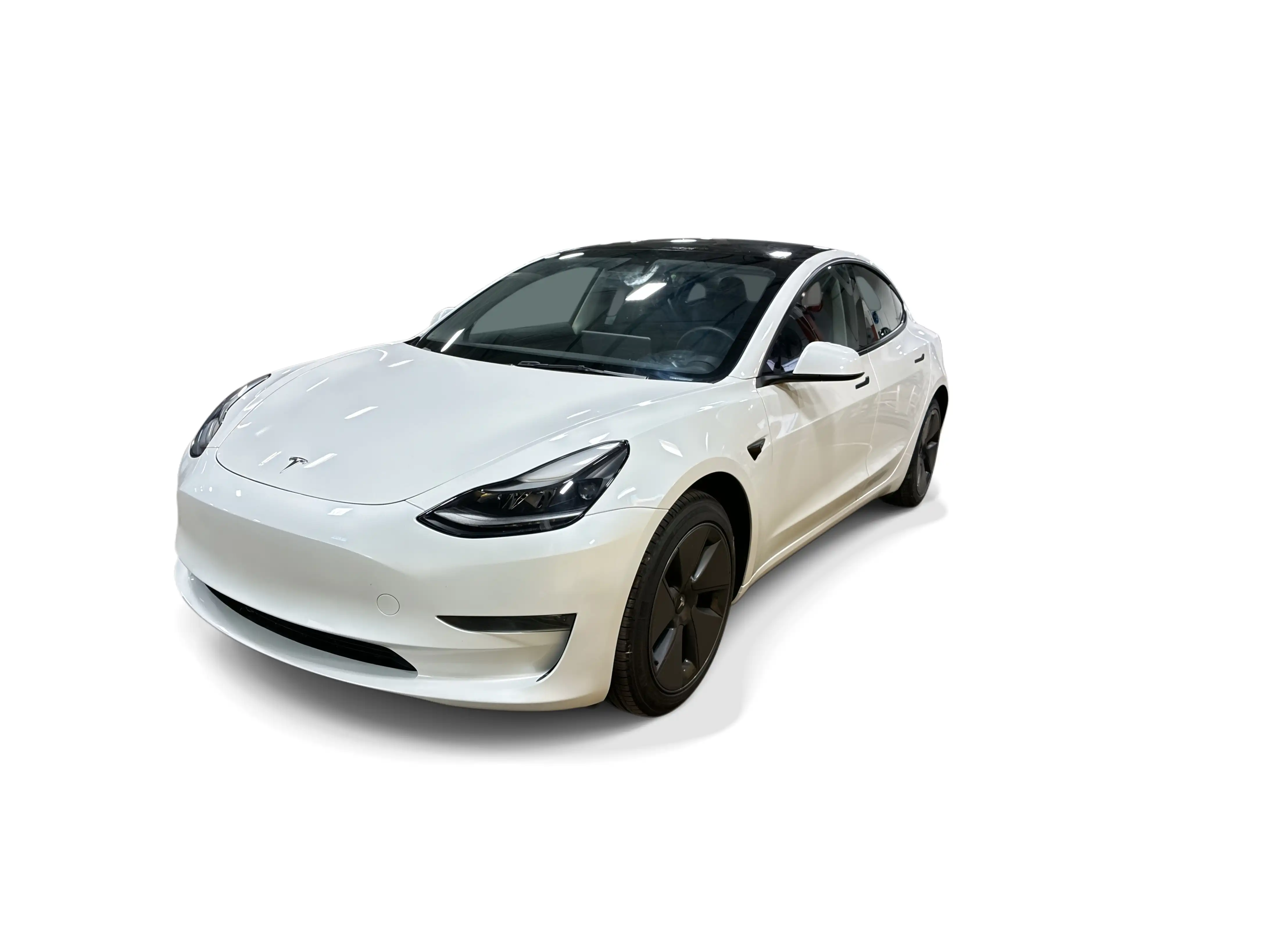 2023 Tesla Model 3 Base's photo