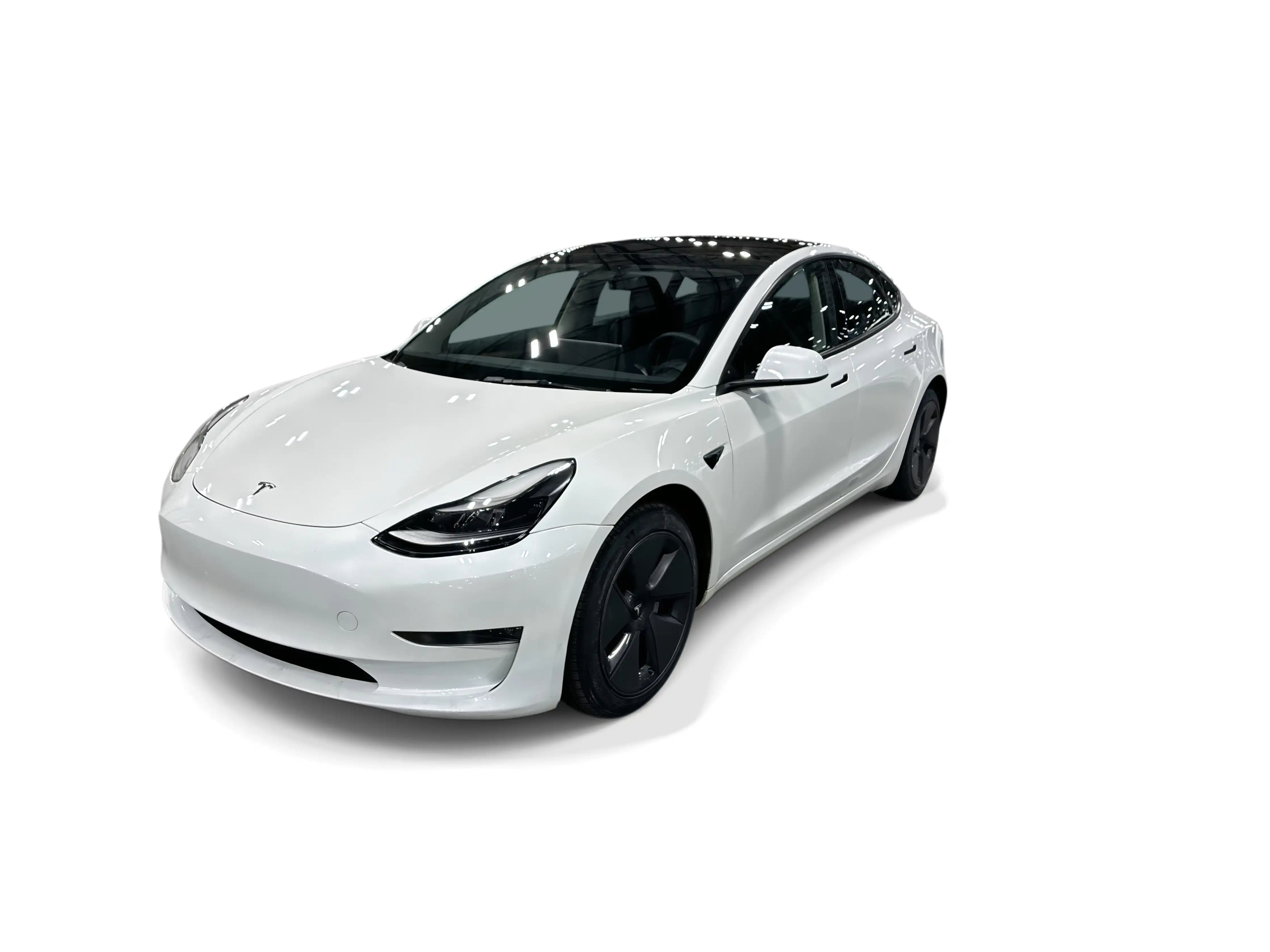 2023 Tesla Model 3 Base's photo
