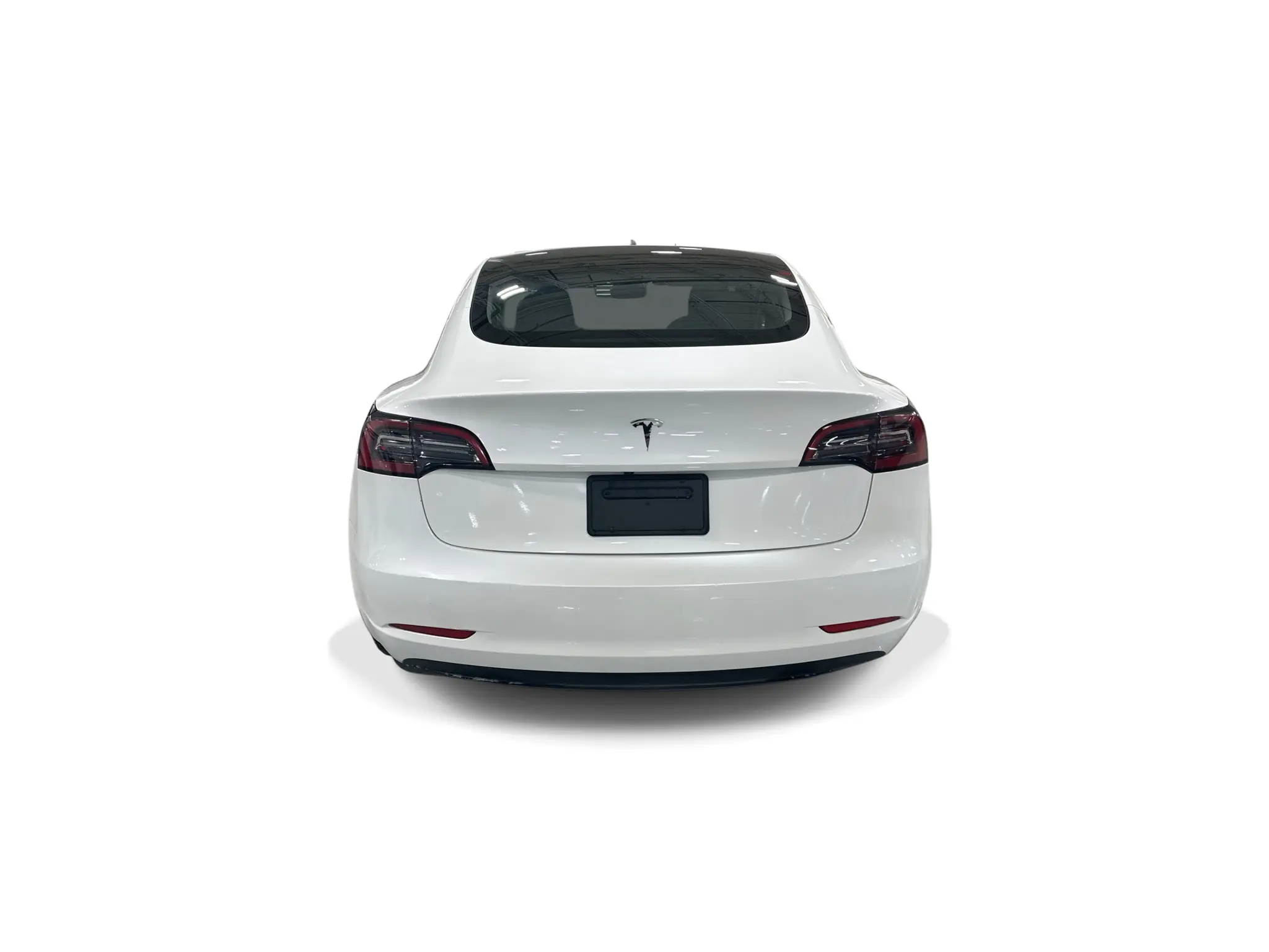 2023 Tesla Model 3 Base photo 5