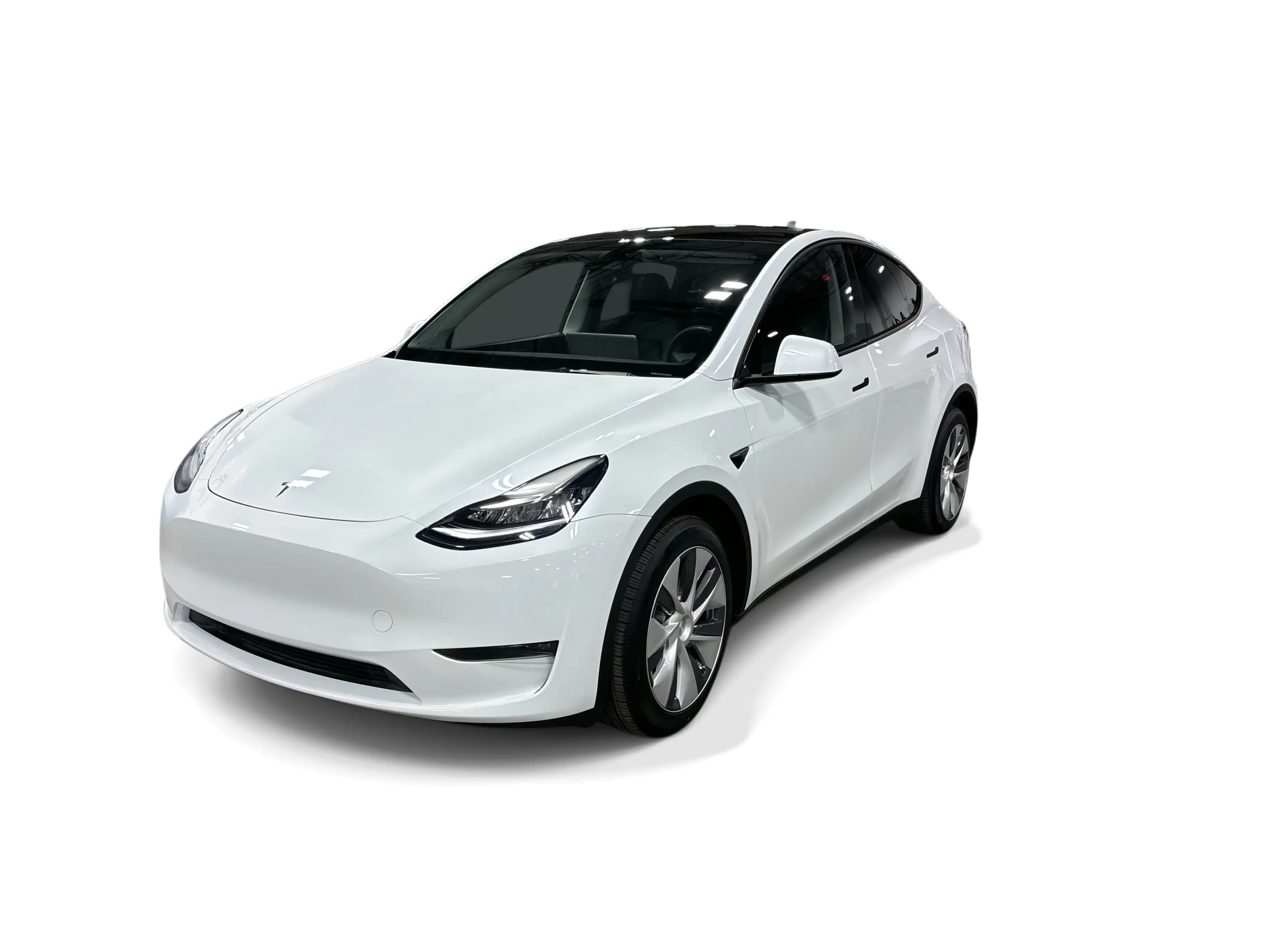 2023 Tesla Model Y Long Range Dual Motor All-Wheel Drive's photo